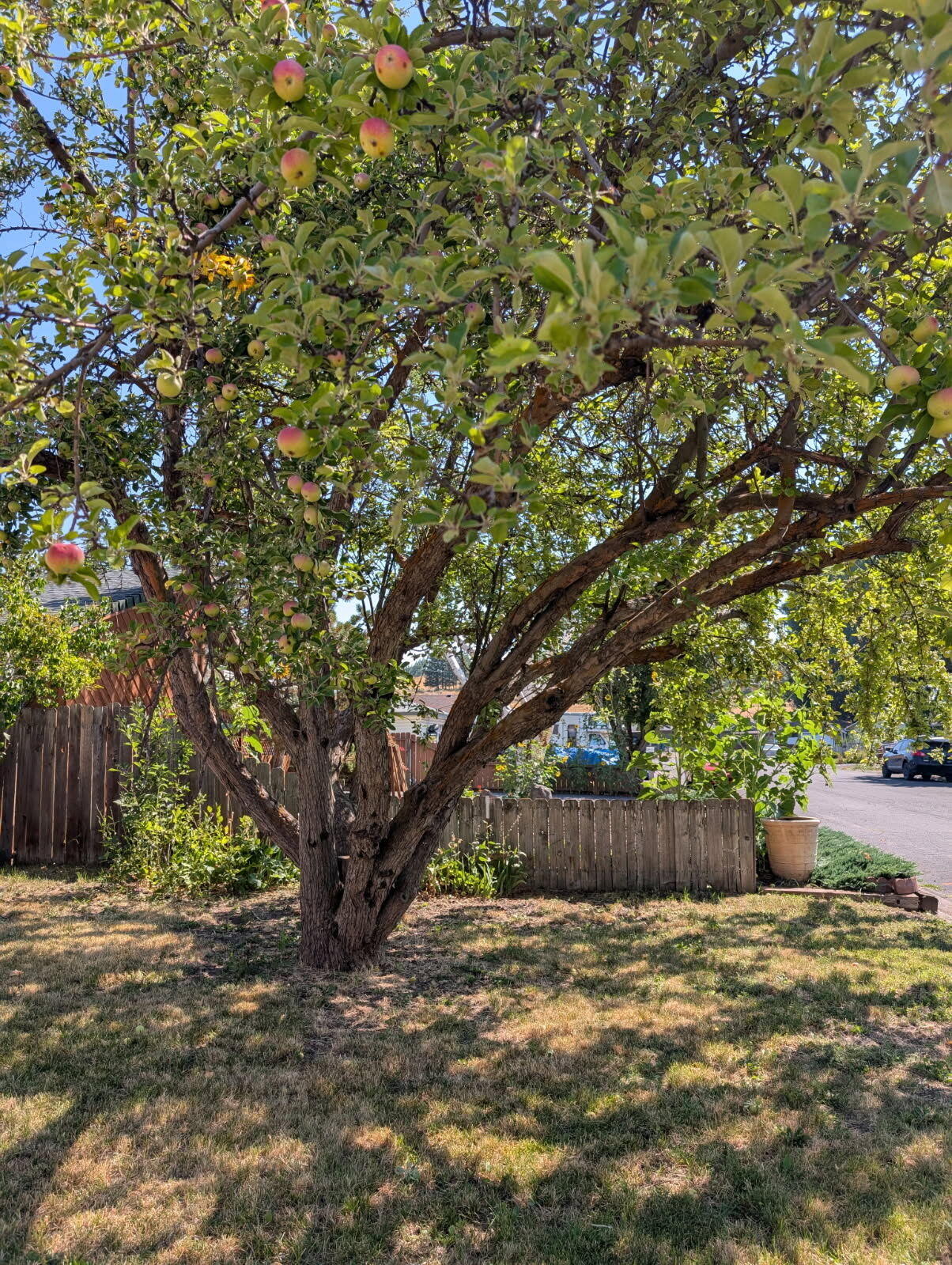 Merrymans' Replat -Vacated Part Of Old Orchard Monor - Residential