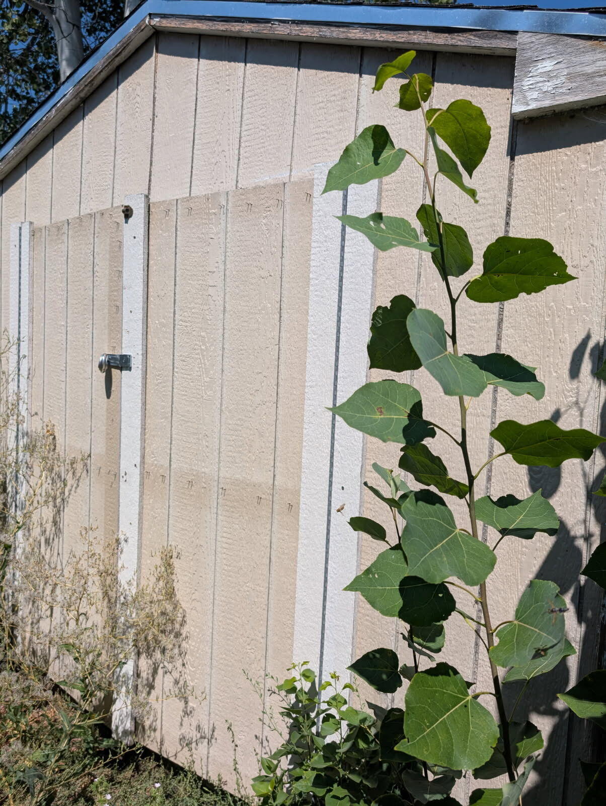 Merrymans' Replat -Vacated Part Of Old Orchard Monor - Residential