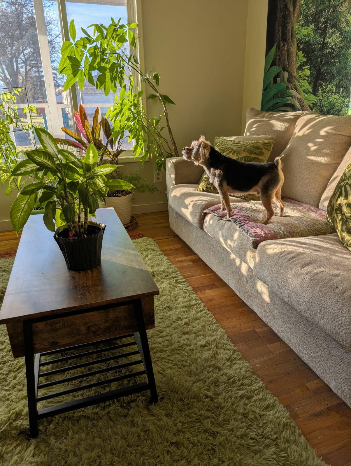 Merrymans' Replat -Vacated Part Of Old Orchard Monor - Residential