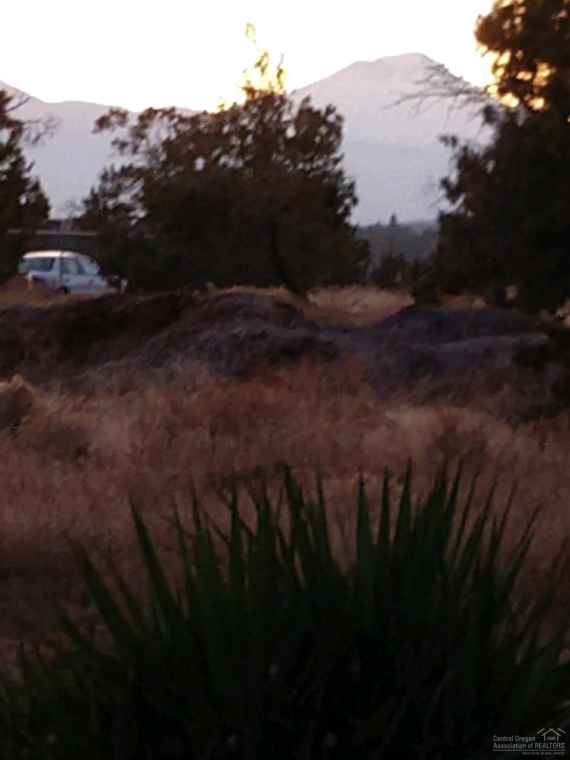 Desert Terrace - Residential