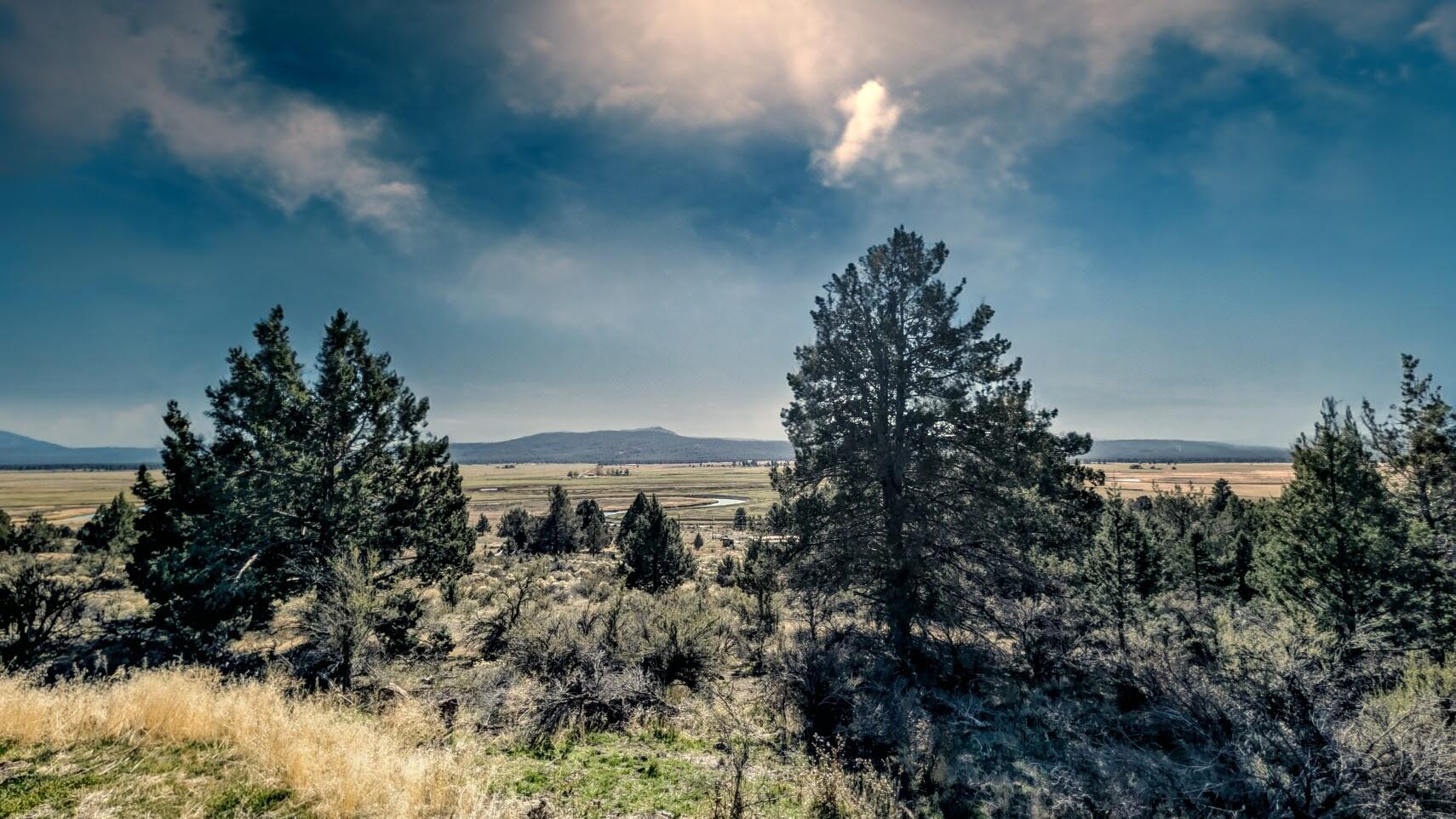Nimrod River Park - Land