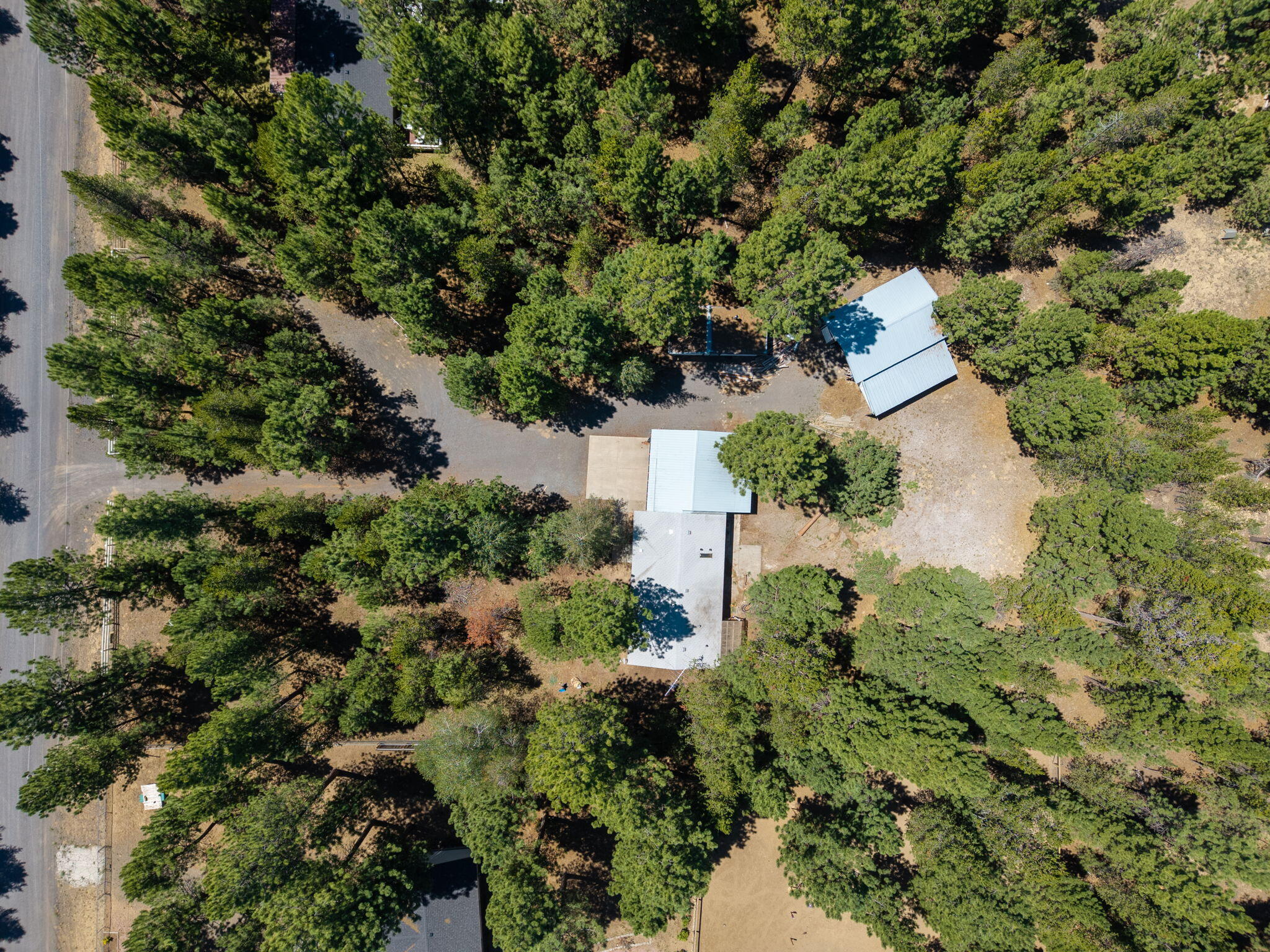 Tall Pines - Residential