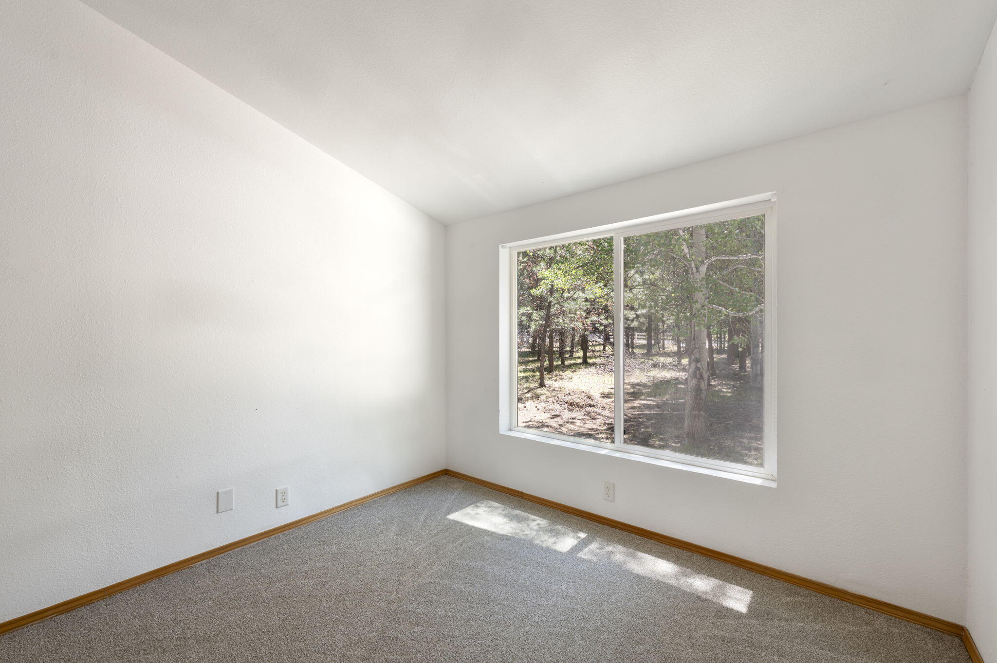 Tall Pines - Residential