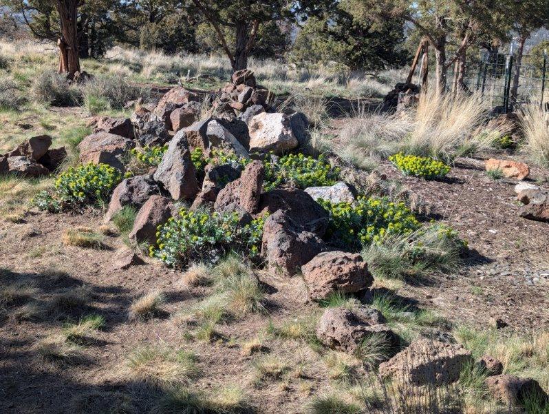 Prineville Acres - Residential