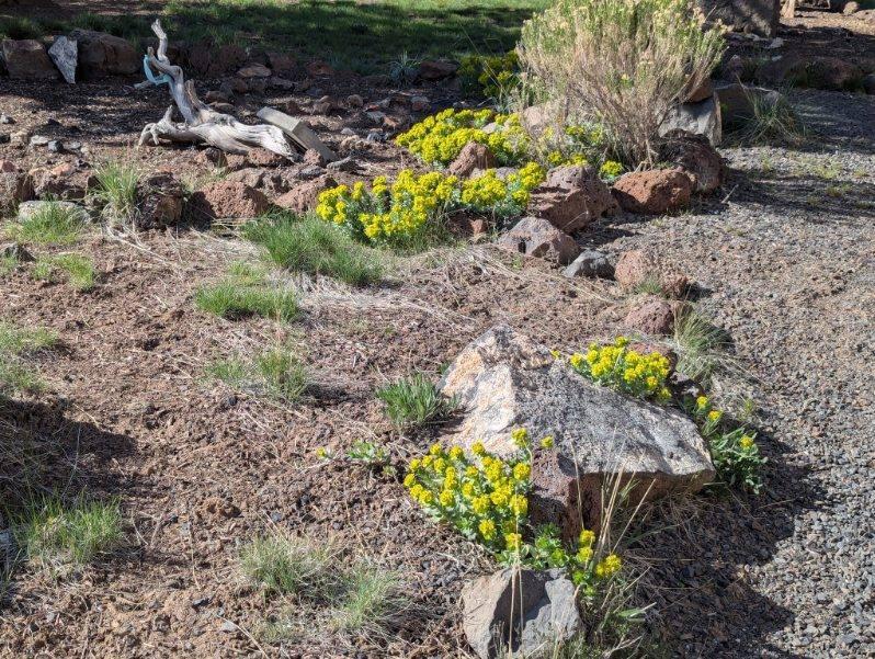 Prineville Acres - Residential