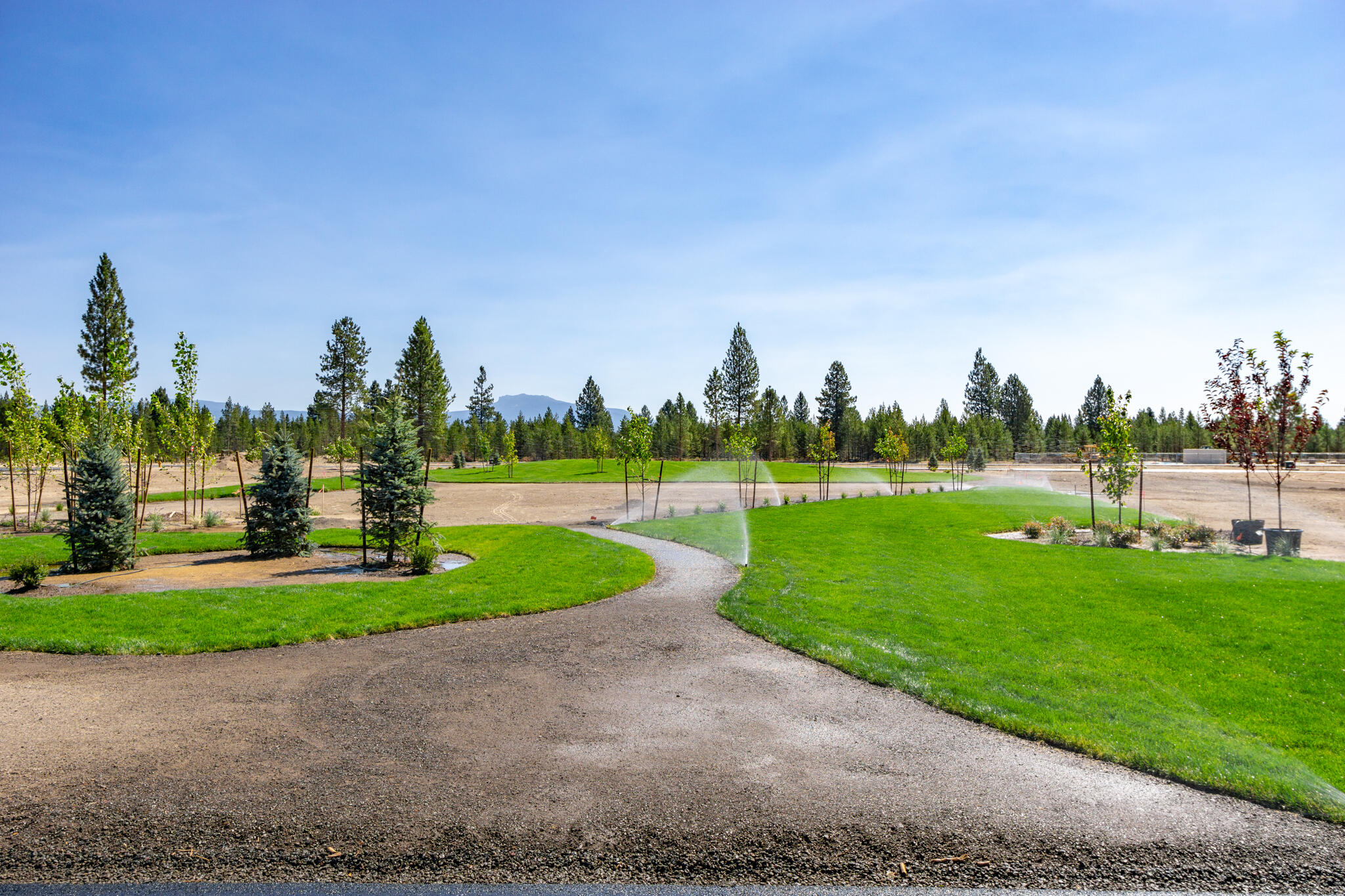 Jubilee Pine Drive Lot 98