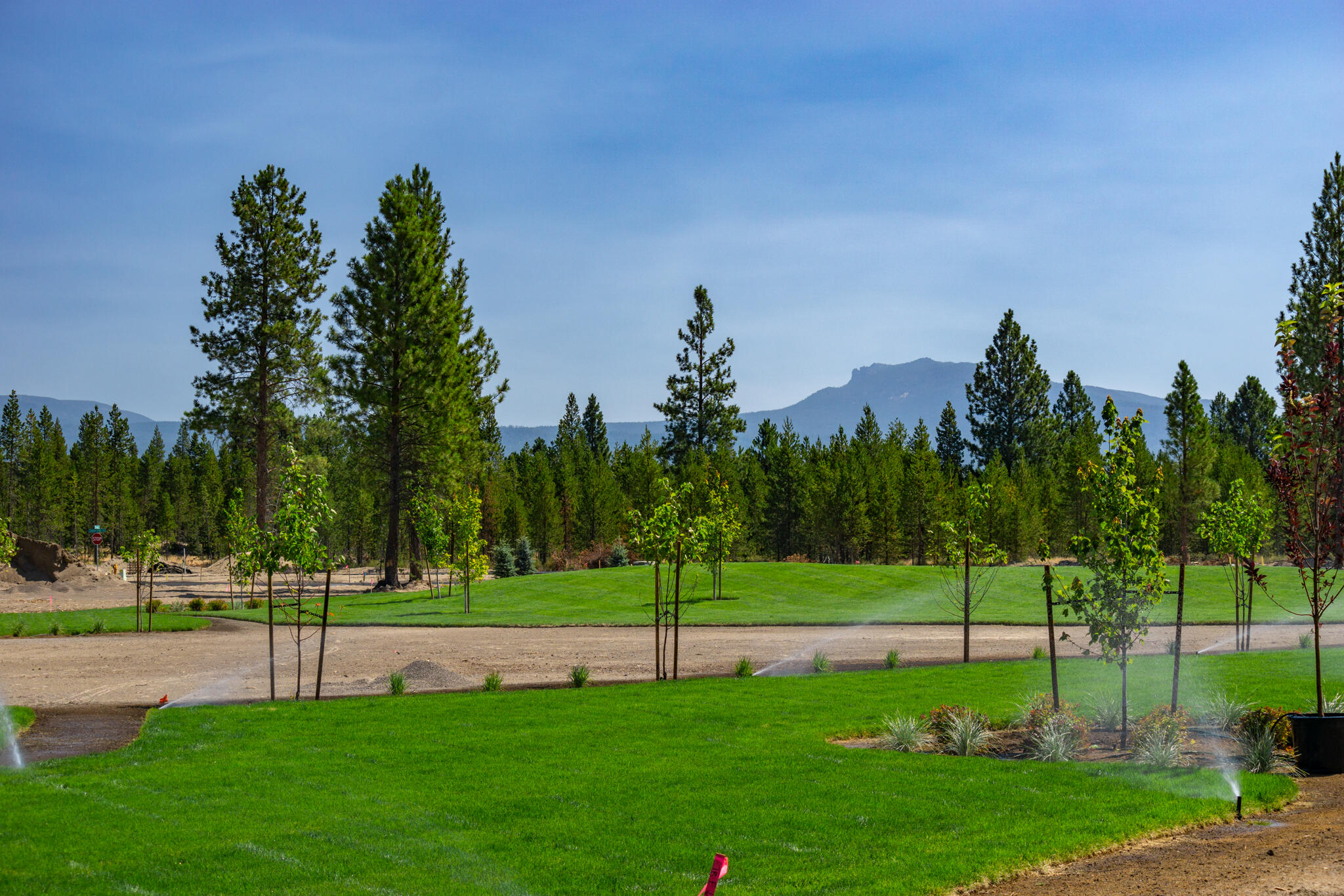 Jubilee Pine Drive Lot 98