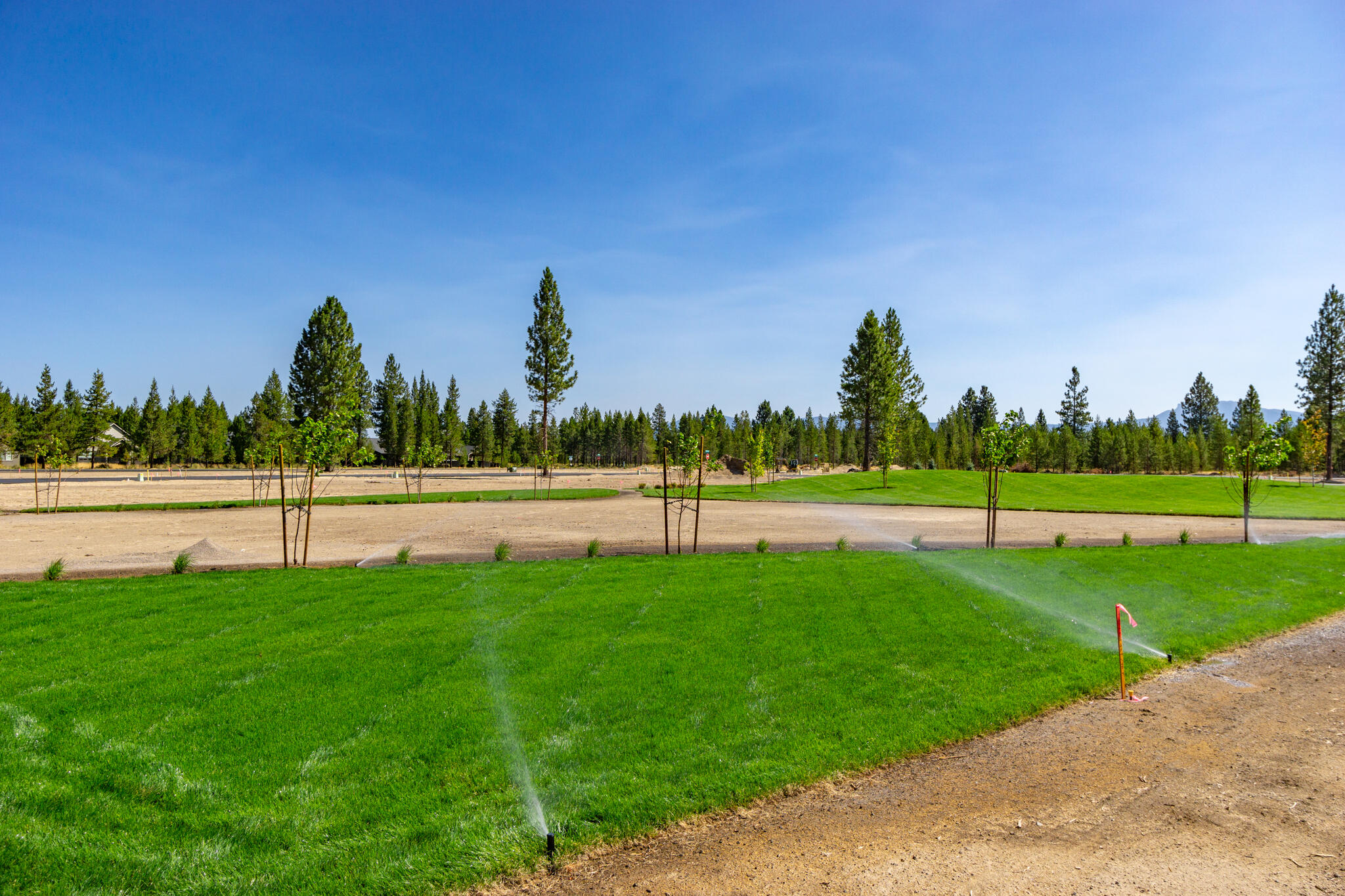 Jubilee Pine Drive Lot 98