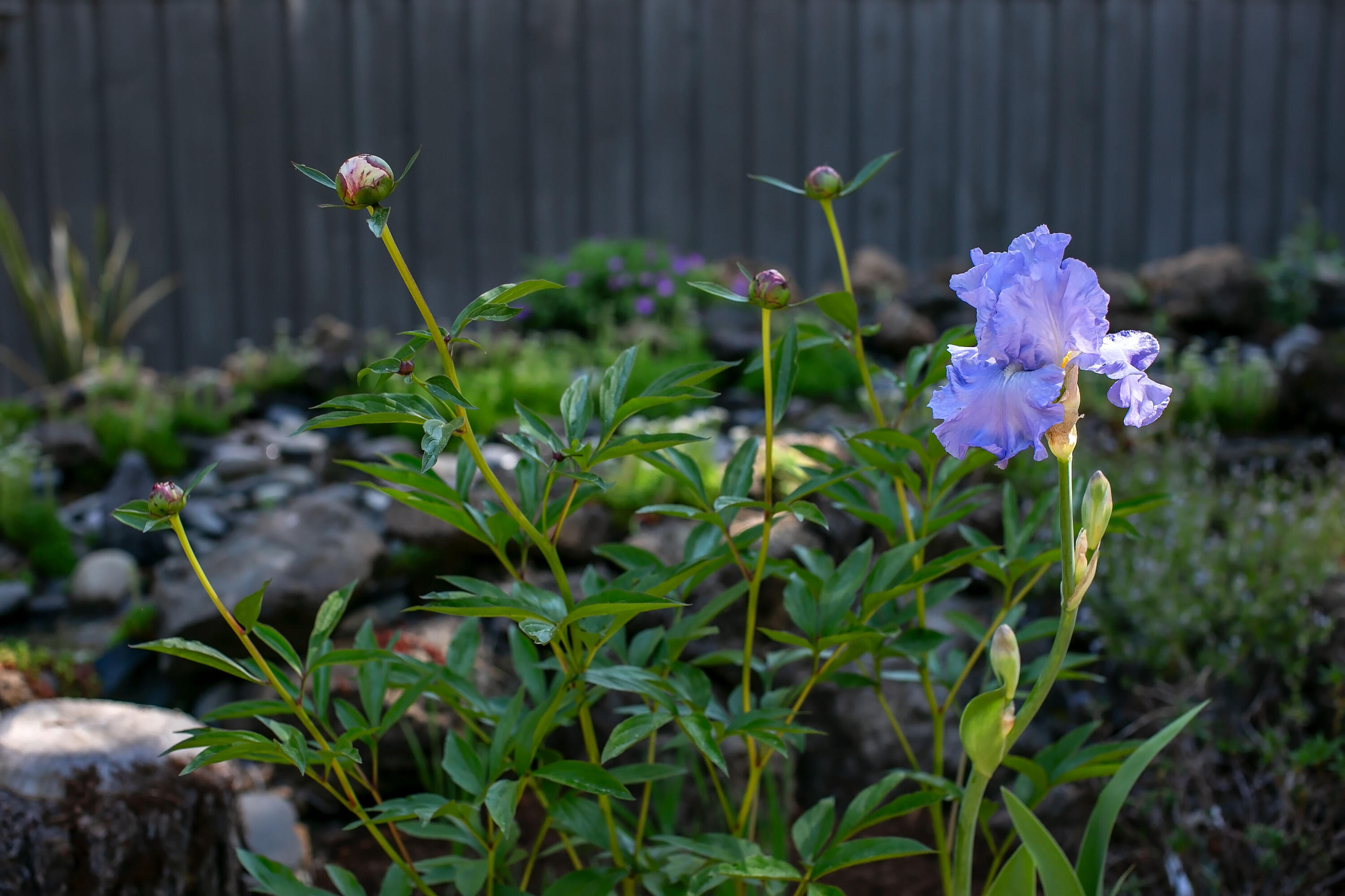 Black Butte Ranch - Residential