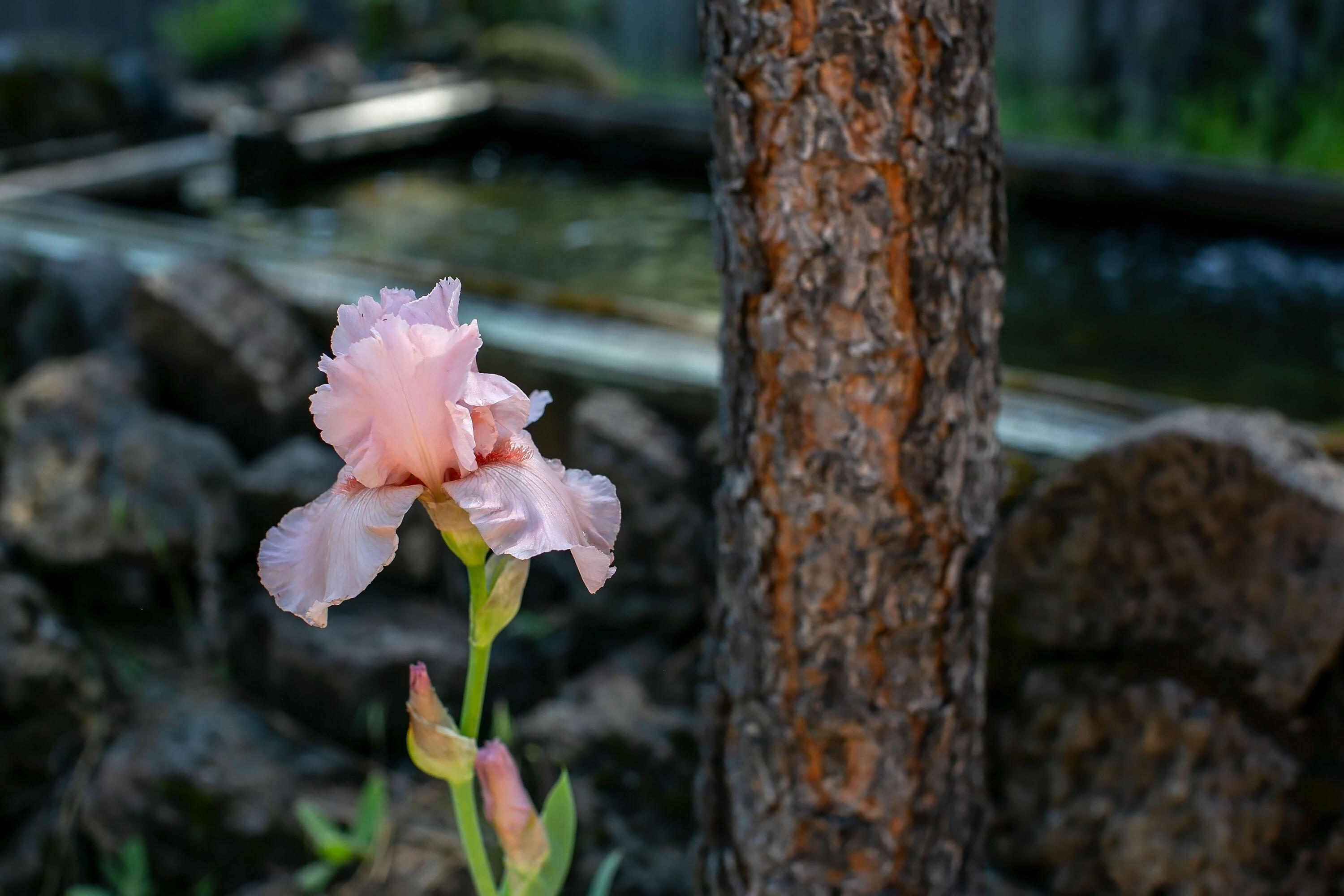 Black Butte Ranch - Residential