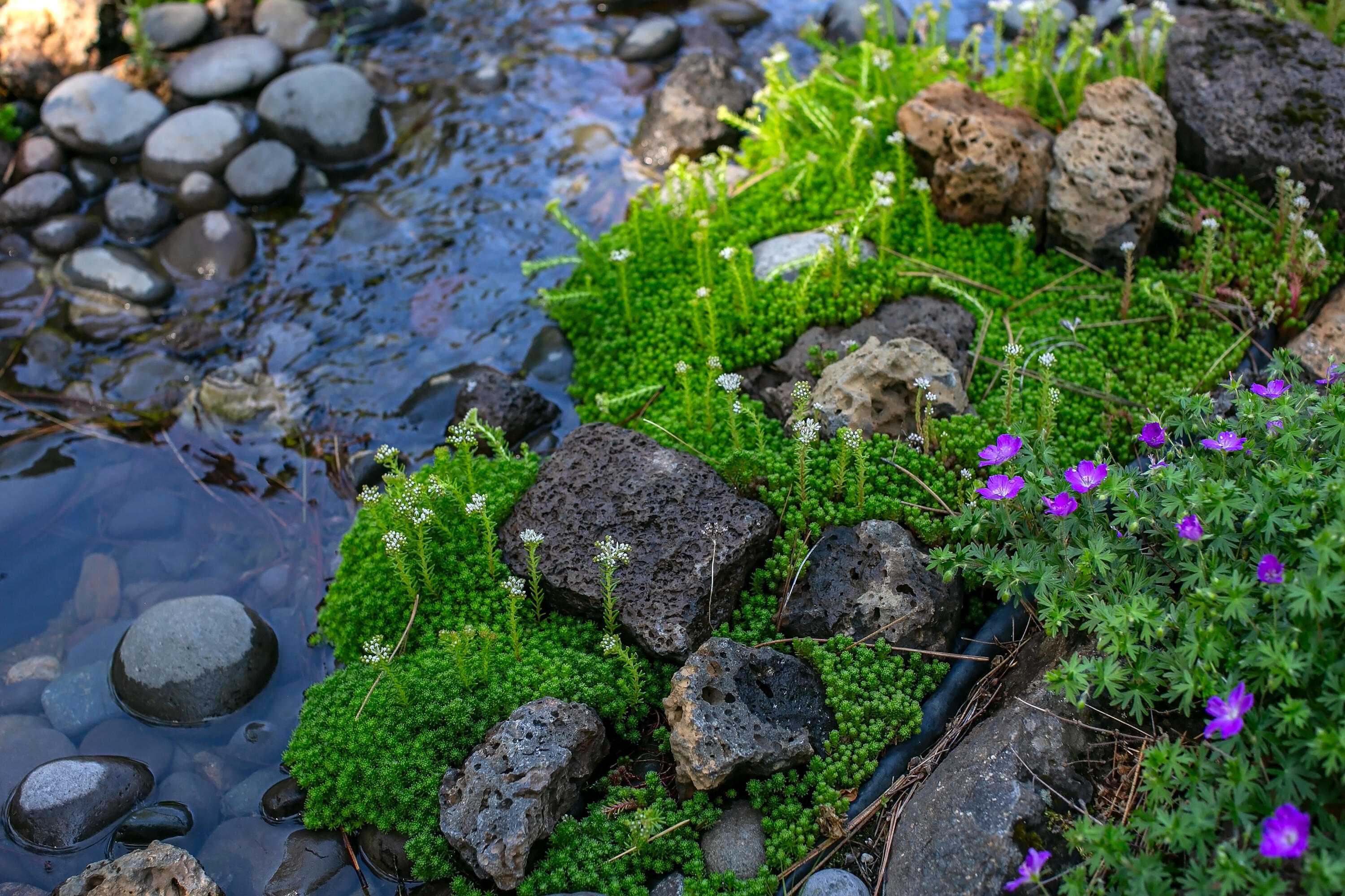 Black Butte Ranch - Residential
