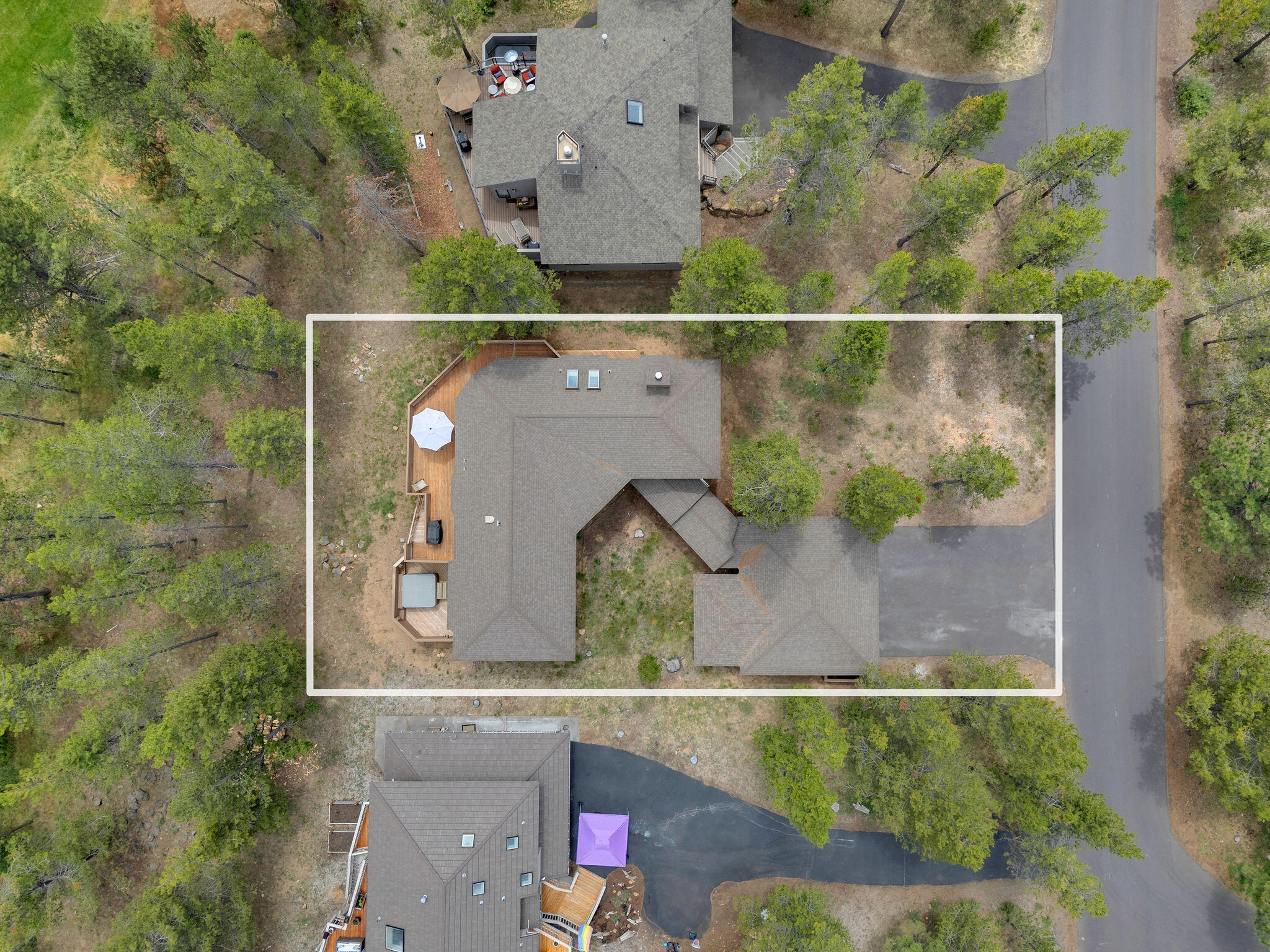 57598 White Elm 15