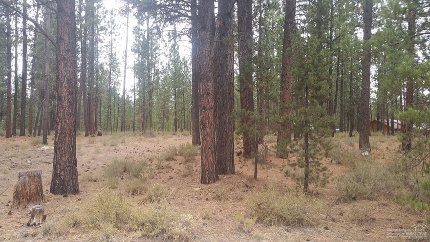 Wonderful location! Located right across from river access. Great place to build your vacation or dream home! Located in North Klamath County, but close to La Pine. Call your favorite Realtor today to get started on your new investment!