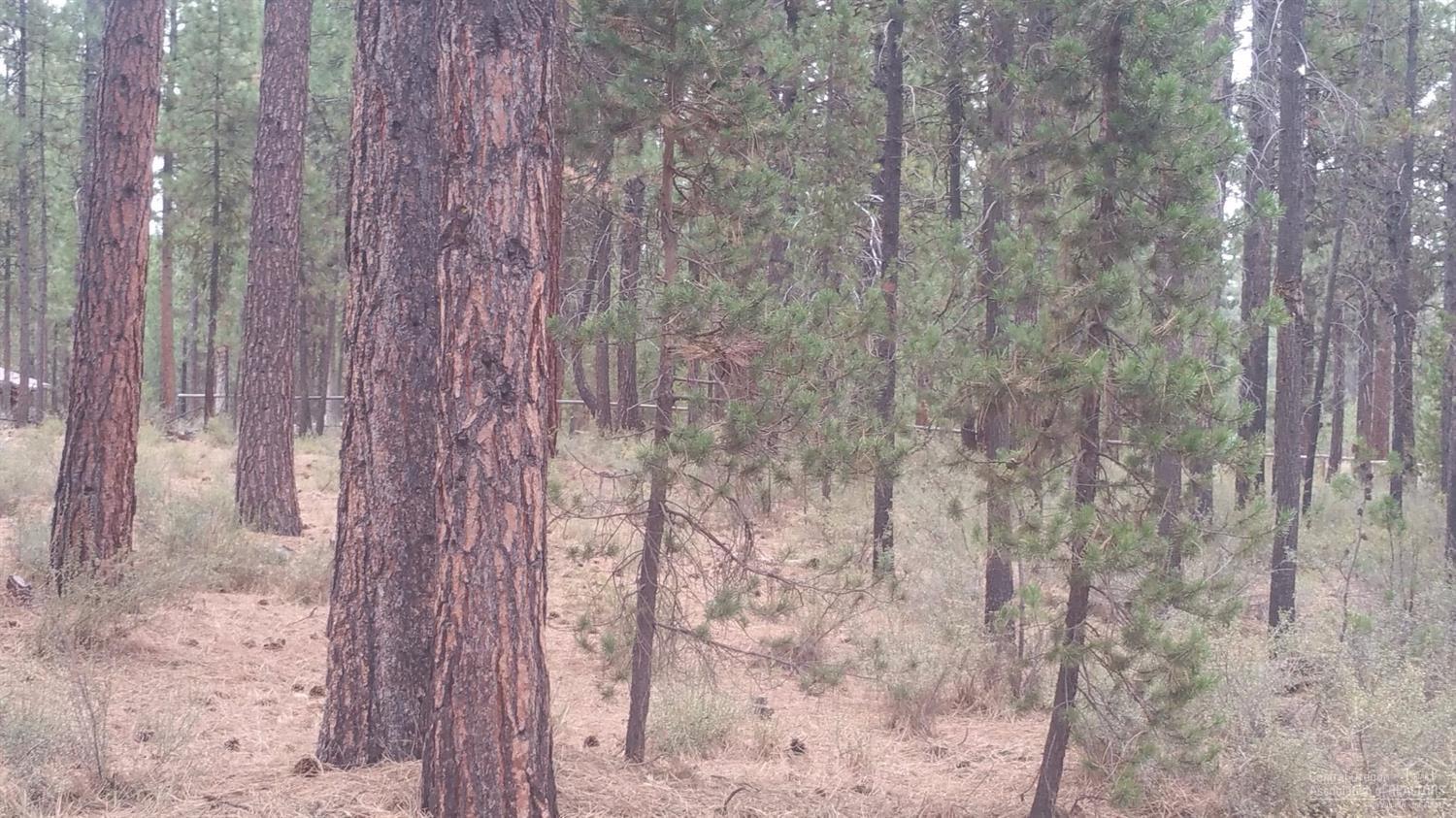 Little River Ranch - Land