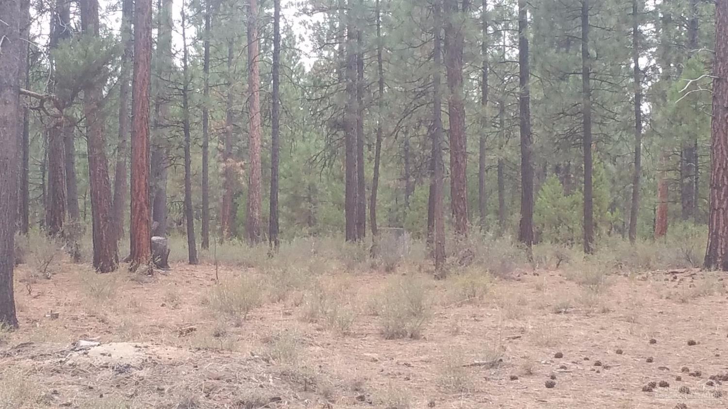 Little River Ranch - Land