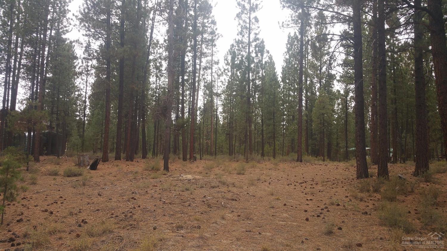 Little River Ranch - Land