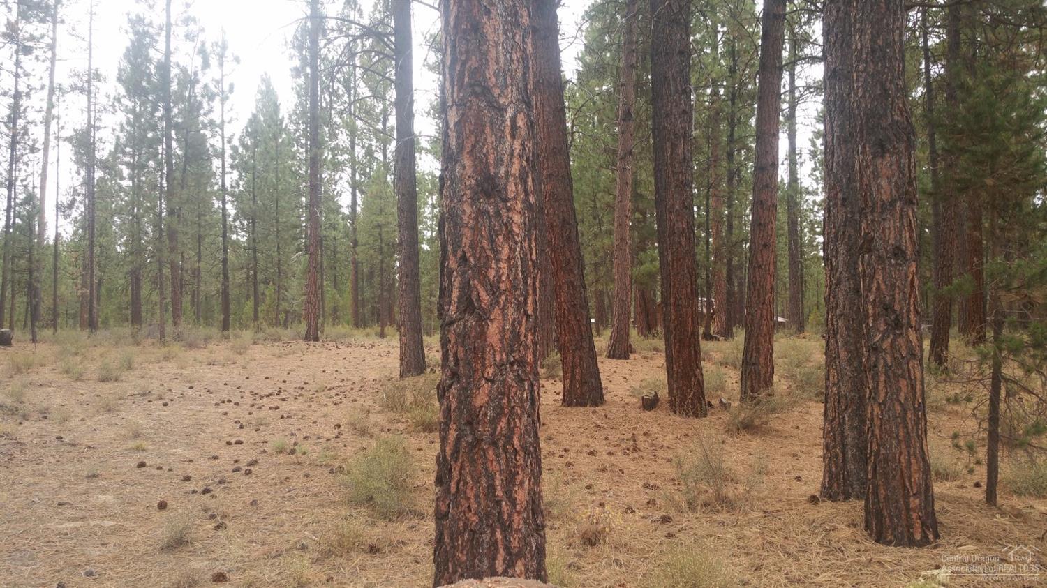 Little River Ranch - Land