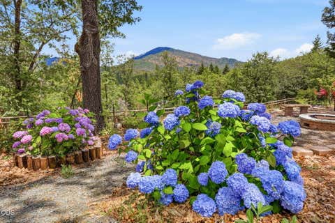 Tiny photo for 764 Jess Way, Grants Pass, OR 97526 (MLS # 220223201)