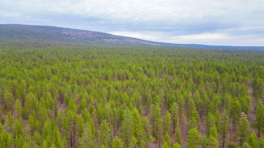 If you're looking for the ultimate outdoor adventure base, this 80-acre off-grid parcel located just west of Culver is calling your name. Nestled next to BLM and National Forest land, this property is your gateway to hiking, hunting, mountain biking, or tearing it up on your ATV. With sweeping views of the Cascade Mountains, it's like nature's own IMAX theater. While permanent structures aren't allowed, it's perfect for setting up camp and enjoying endless wilderness right at your doorstep. Remote, rugged, and ready for your next big adventure!