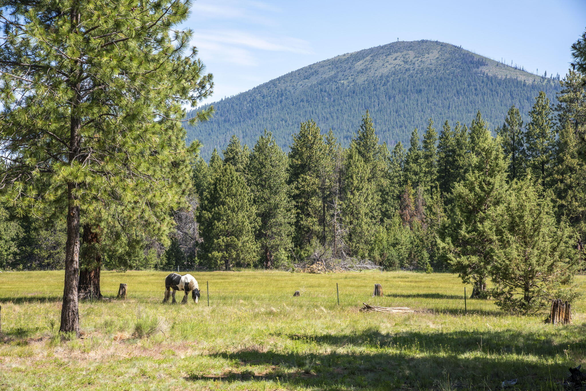 Black Butte Ranch - Residential