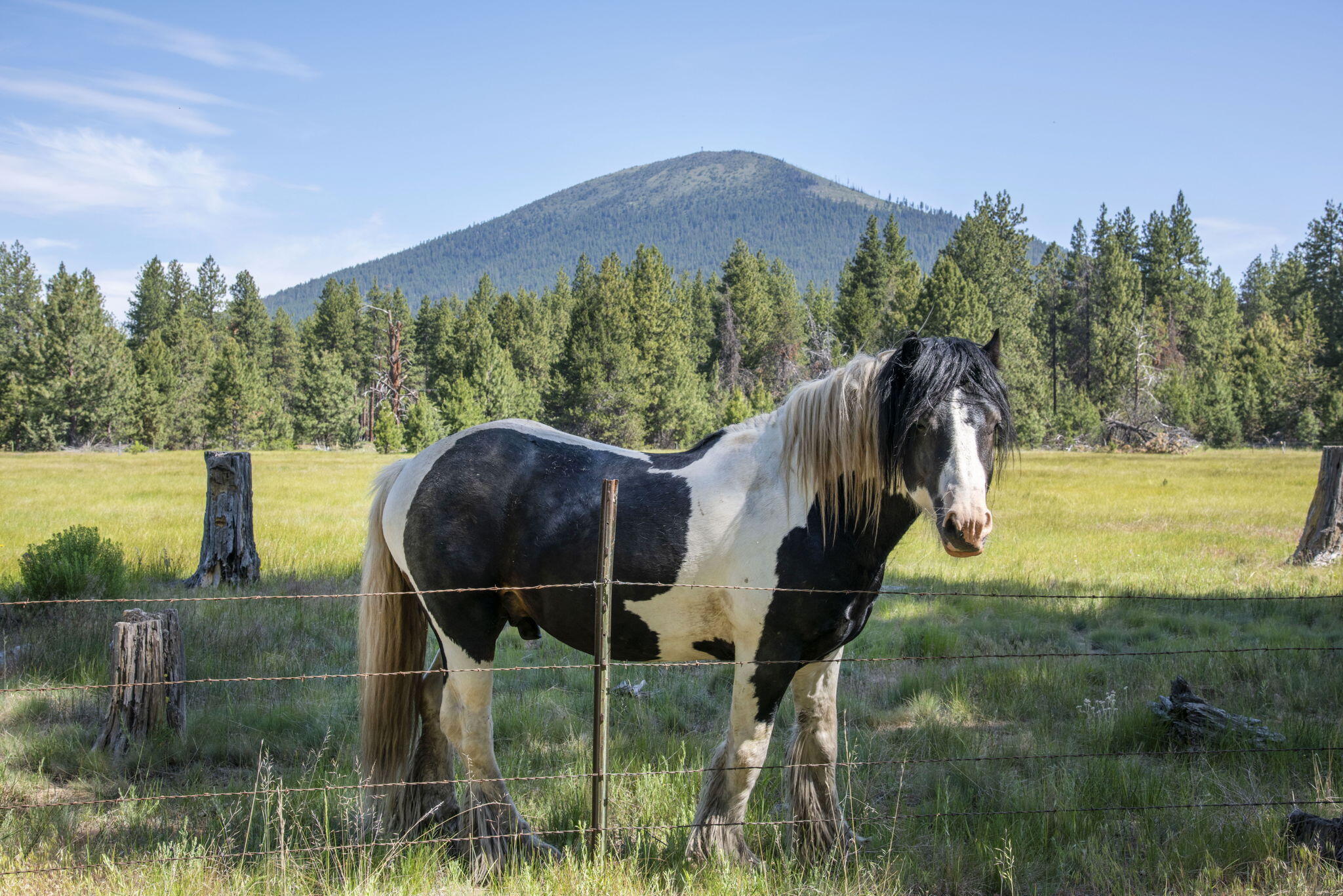 Black Butte Ranch - Residential