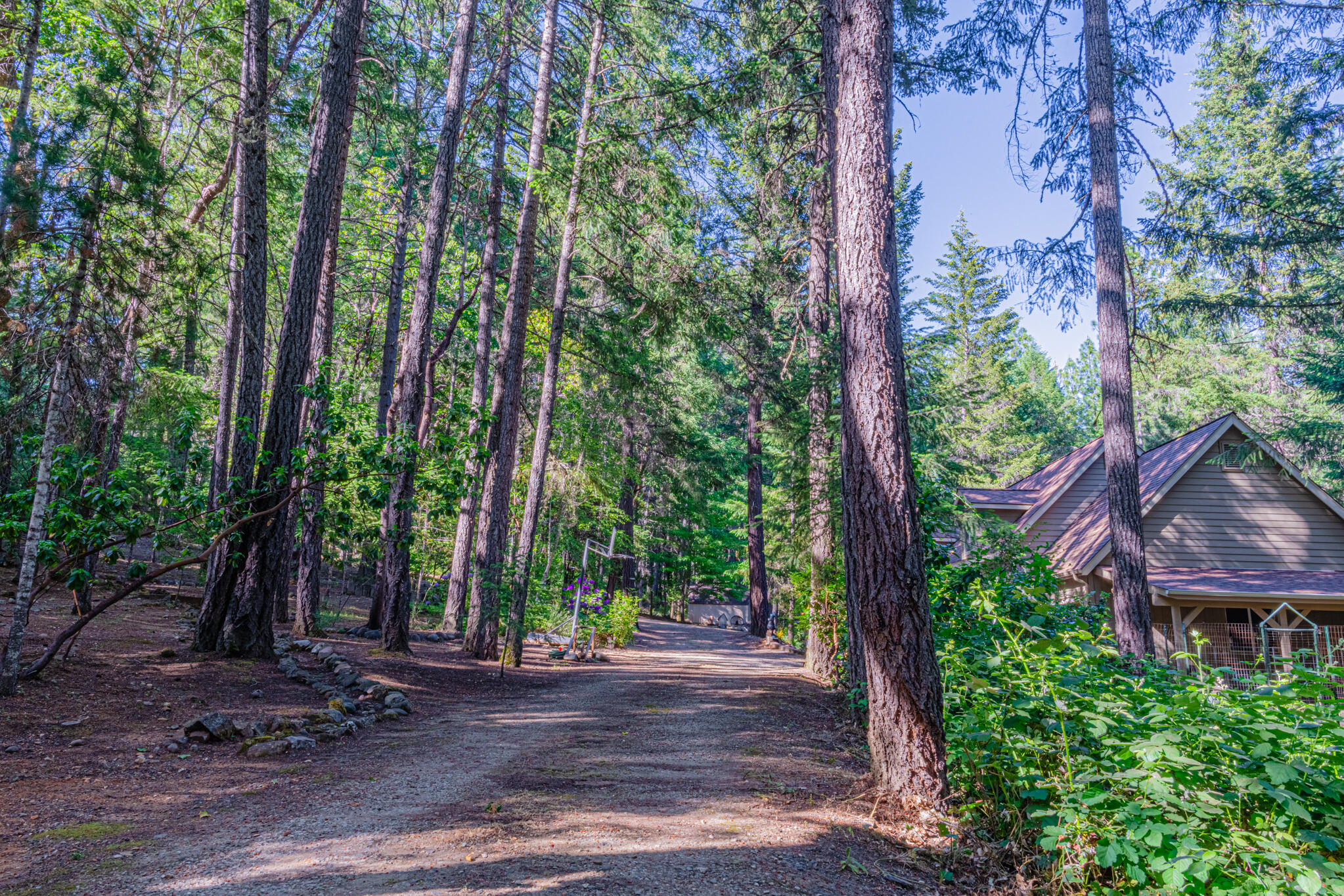 Thornbrook Subdivision - Residential