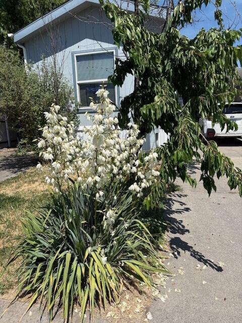 Landes Subdivision - Residential