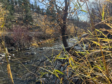 Tiny photo for 24826 S Hwy 395, Canyon City, OR 97820 (MLS # 220212435)