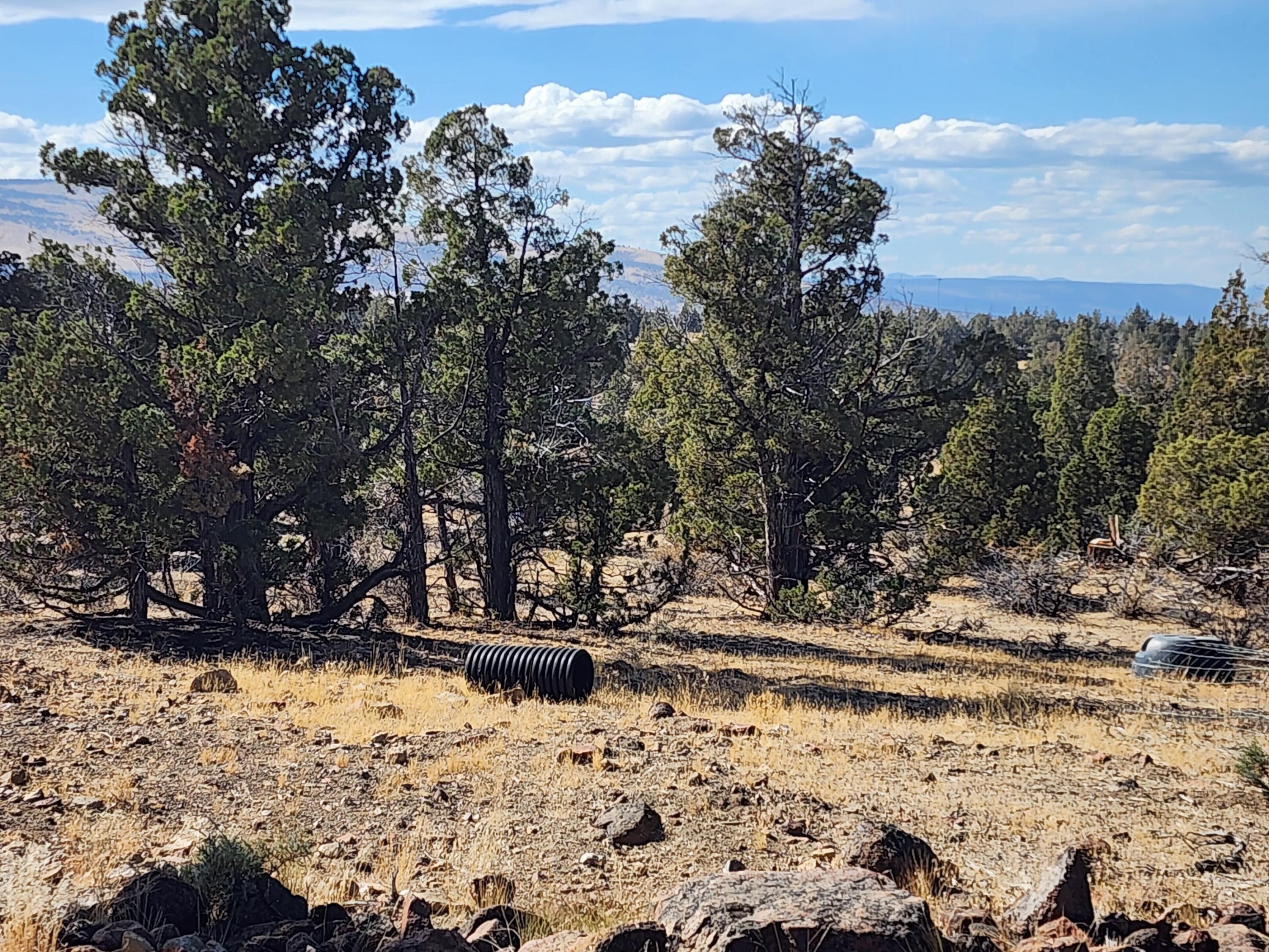 Juniper Acres - Land