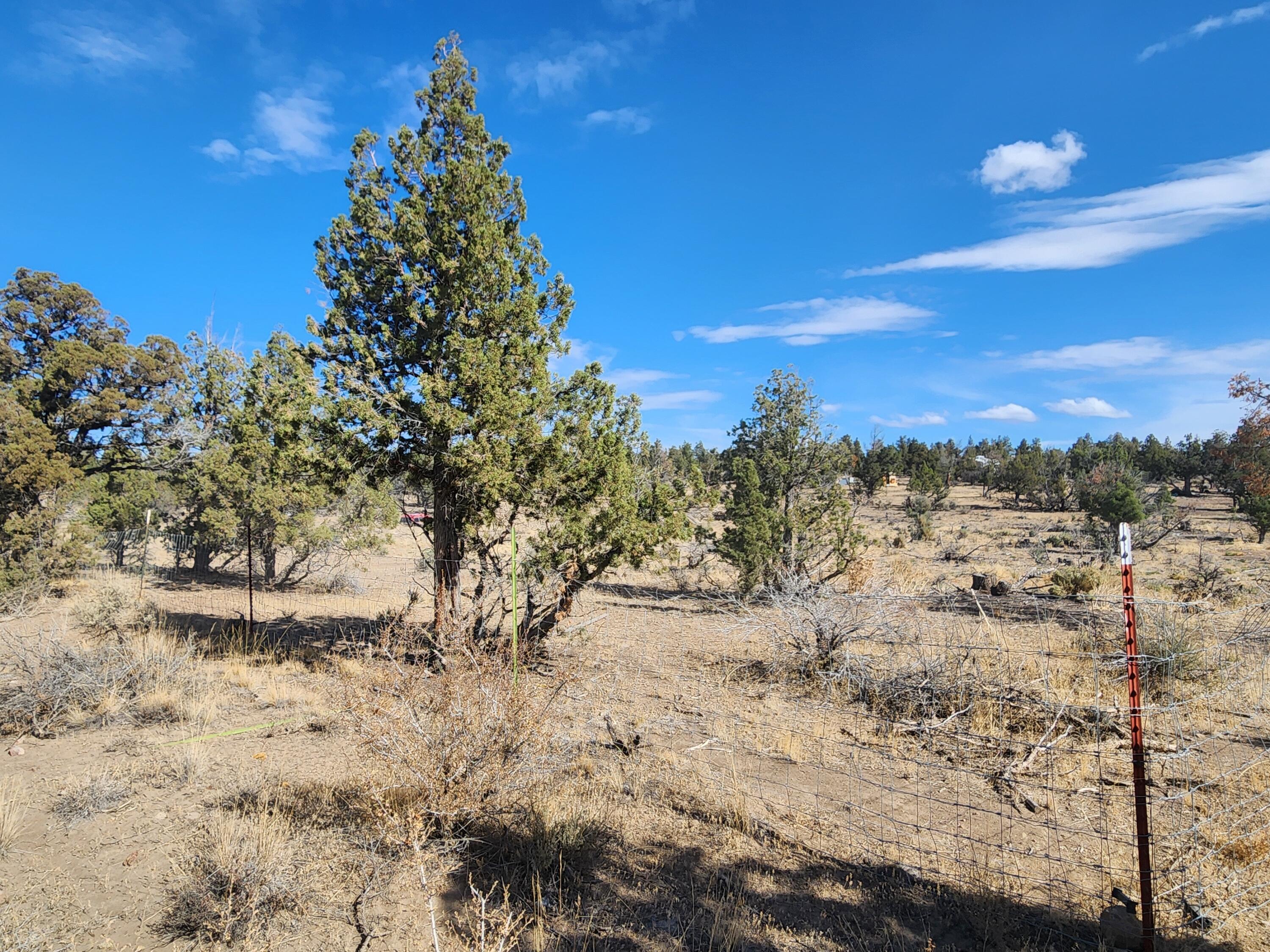 Juniper Acres - Land