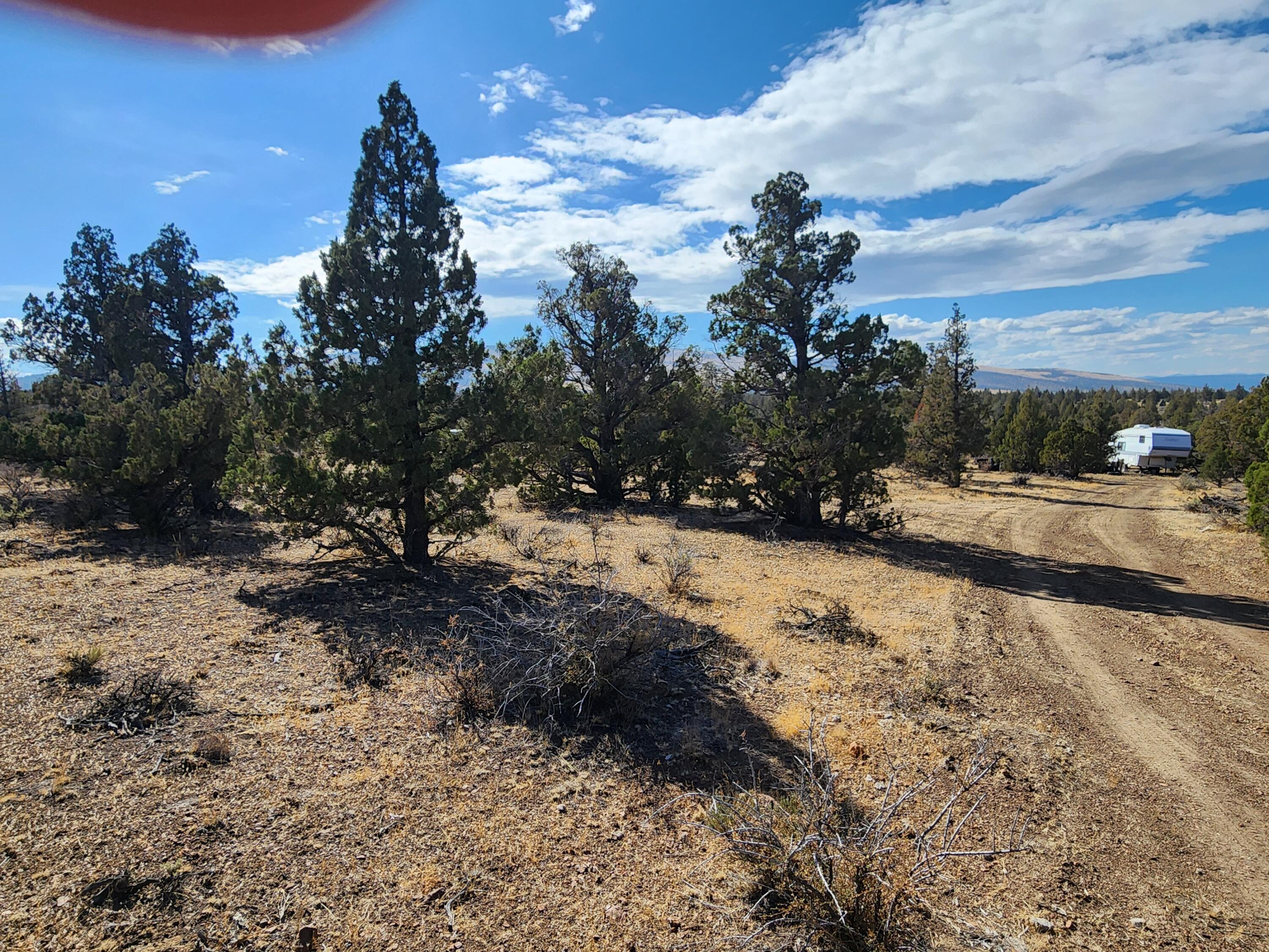 Juniper Acres - Land