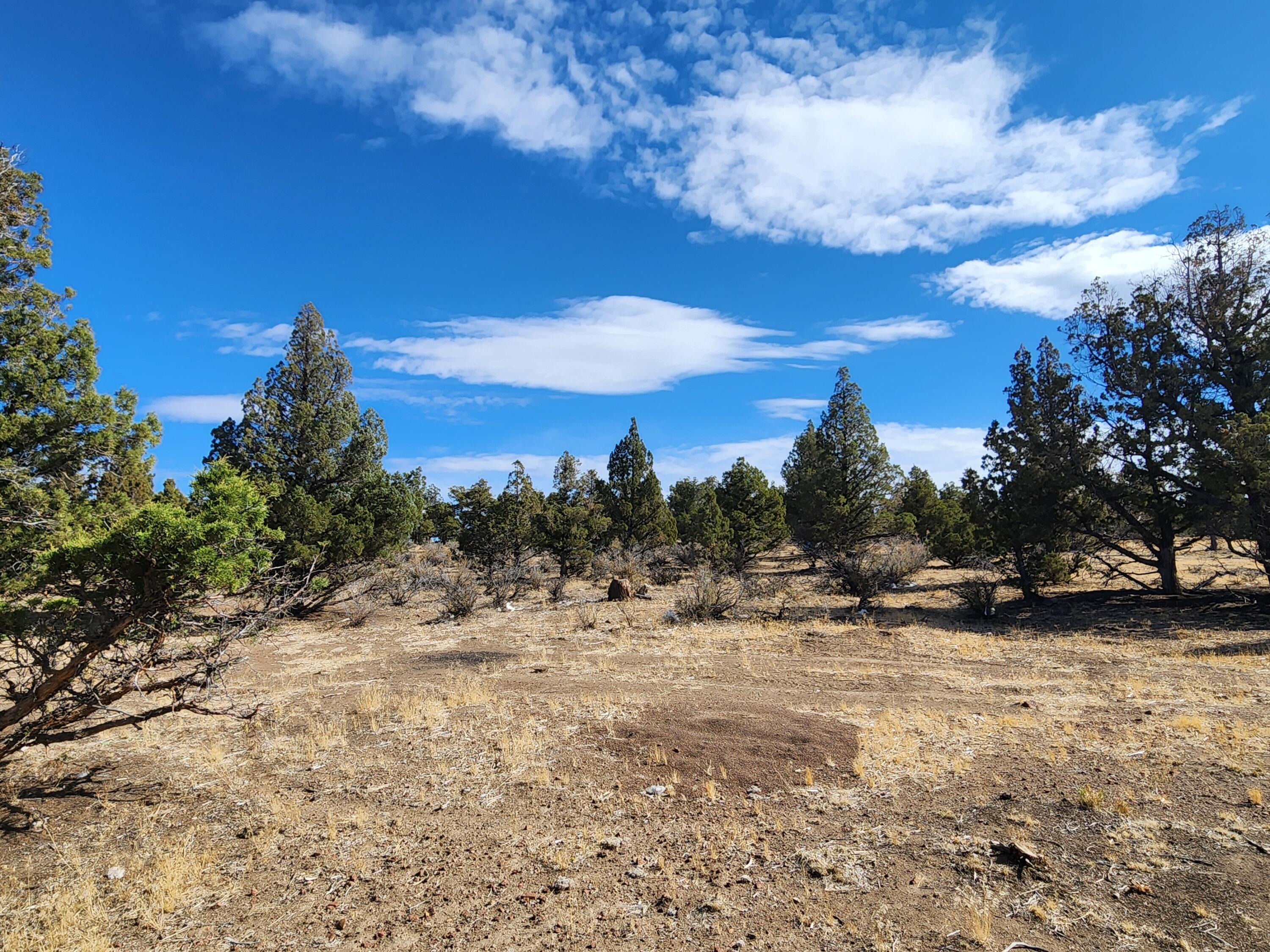 Juniper Acres - Land