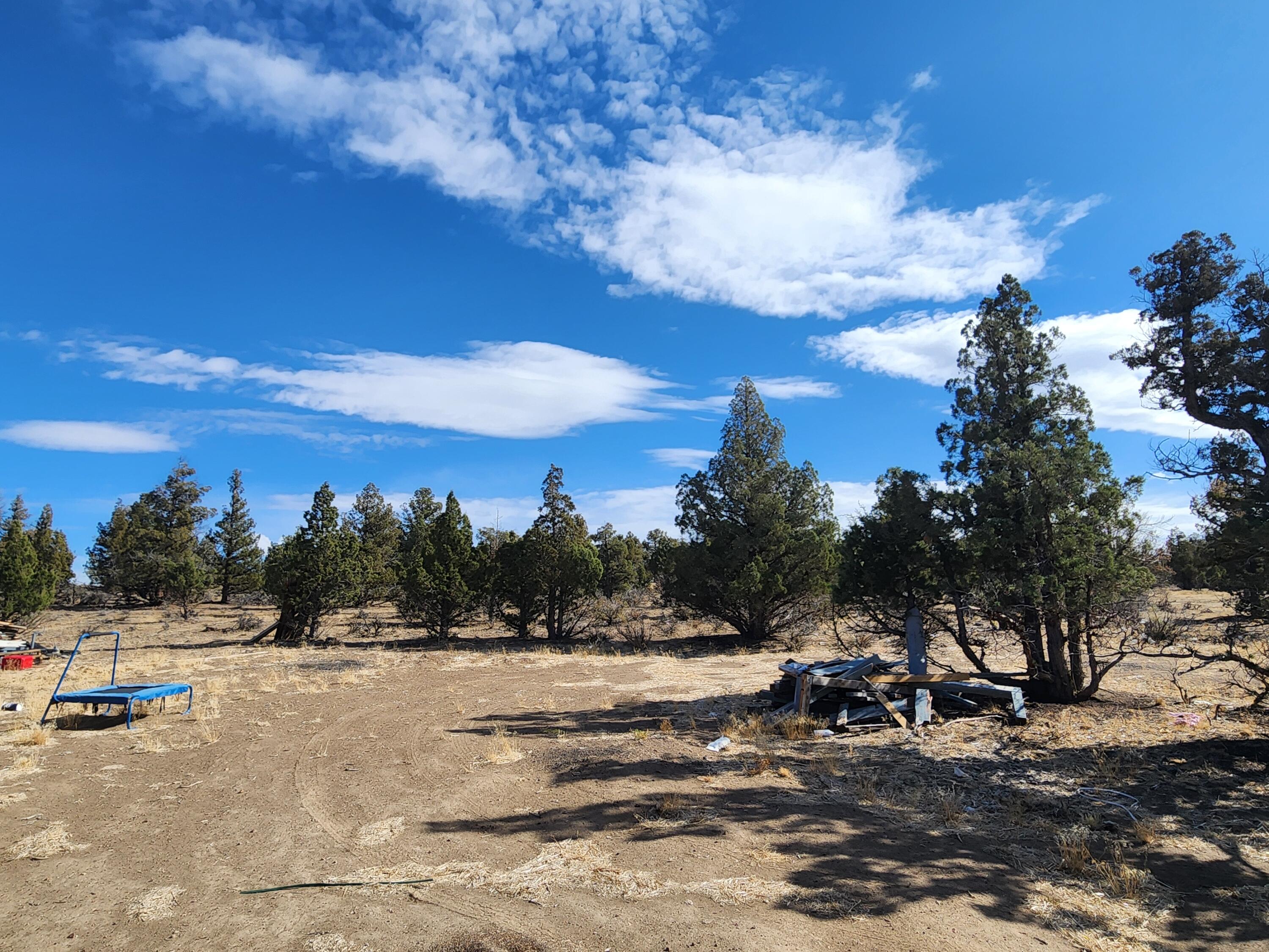 Juniper Acres - Land