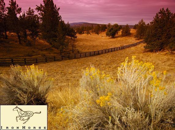 Ironhorse - Land