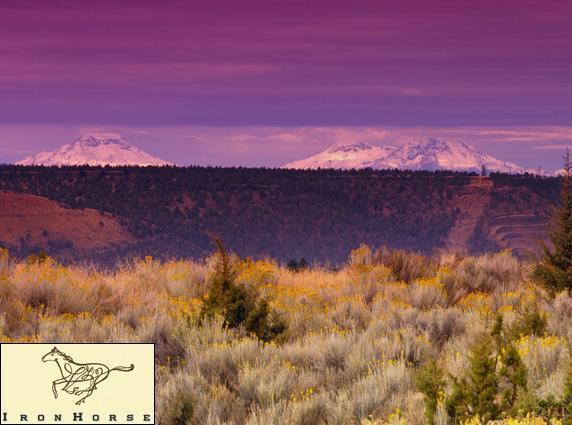 Ironhorse - Land