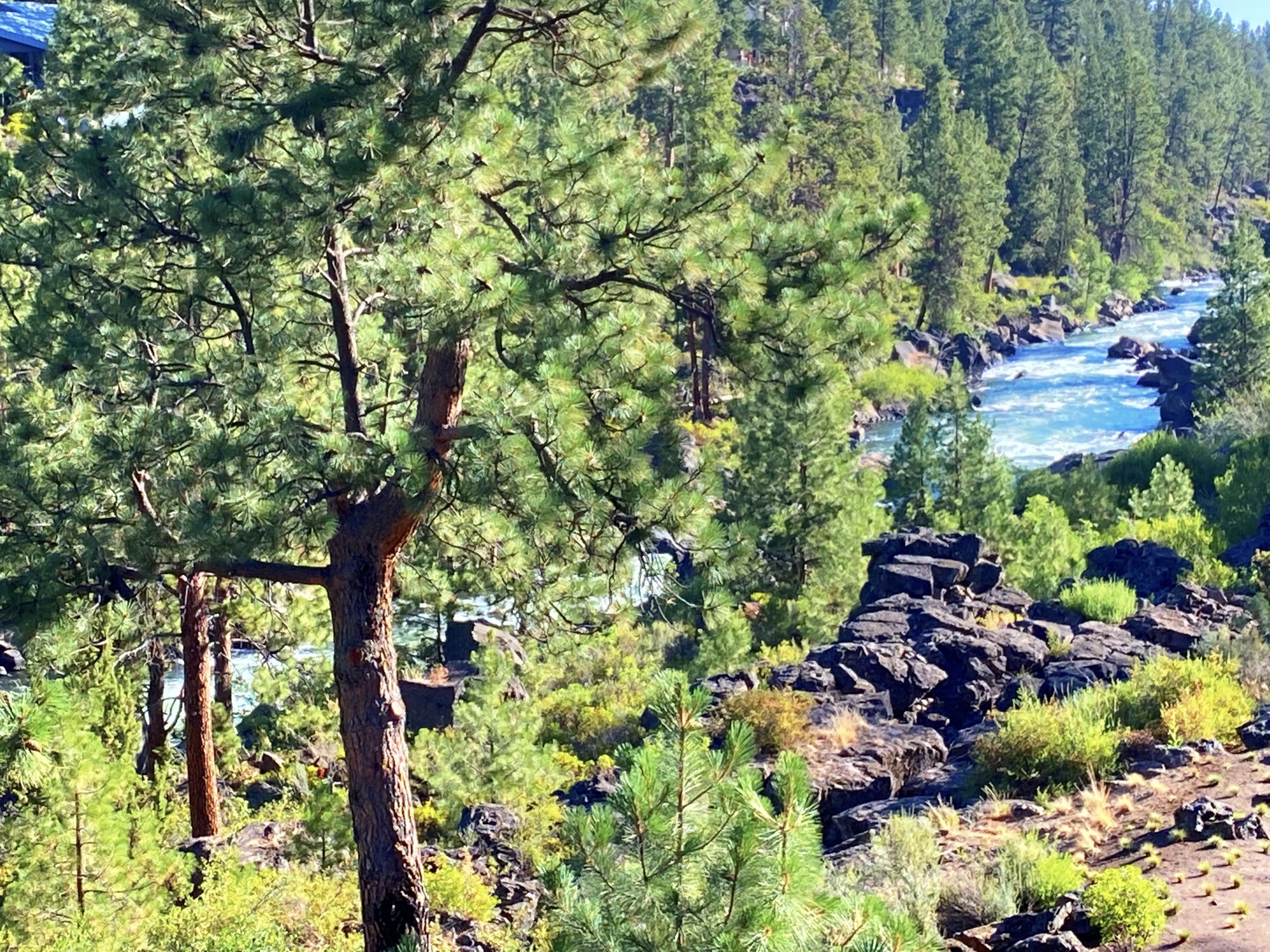 River Rim - Residential