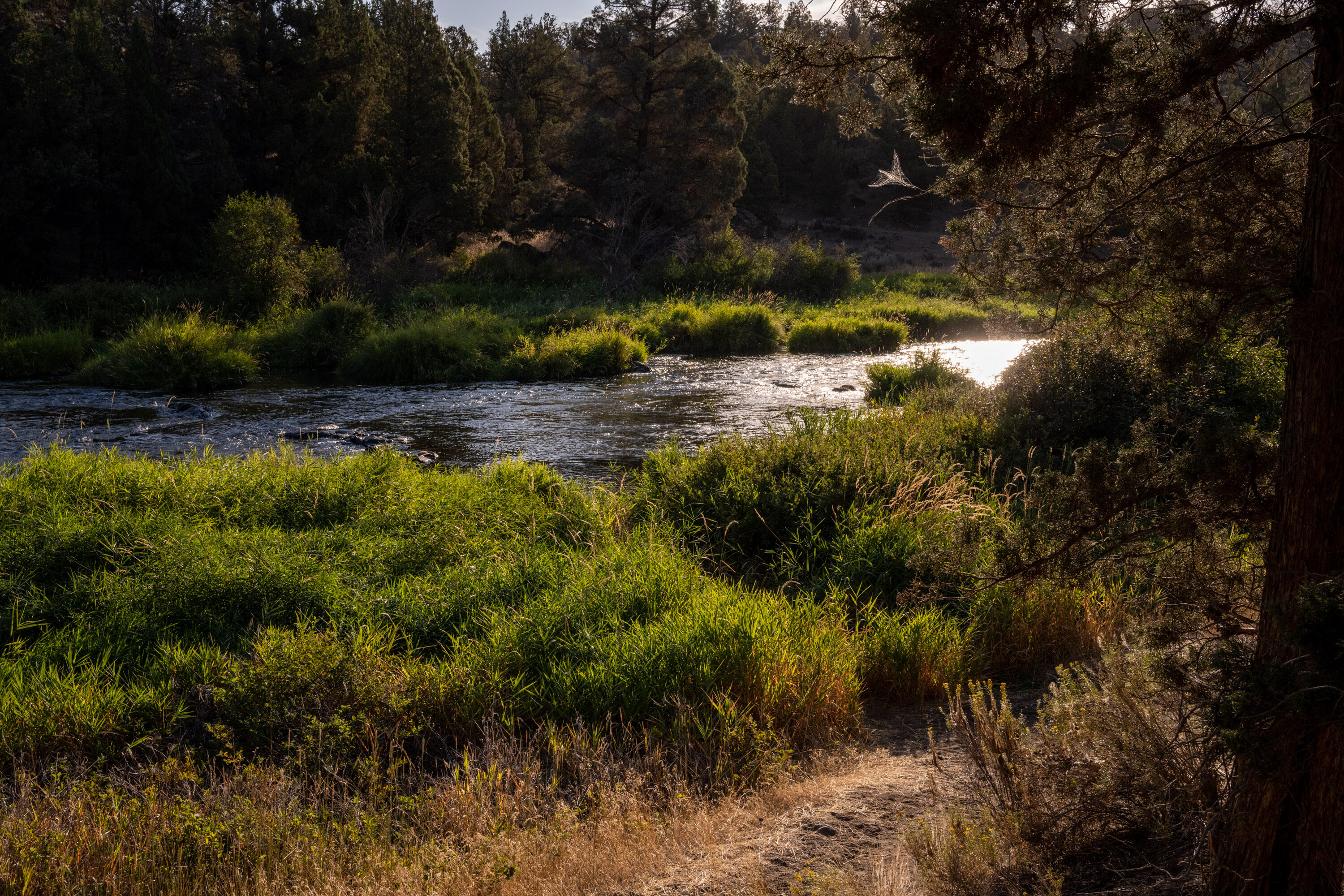 Ridge At Eagle Crest - Residential