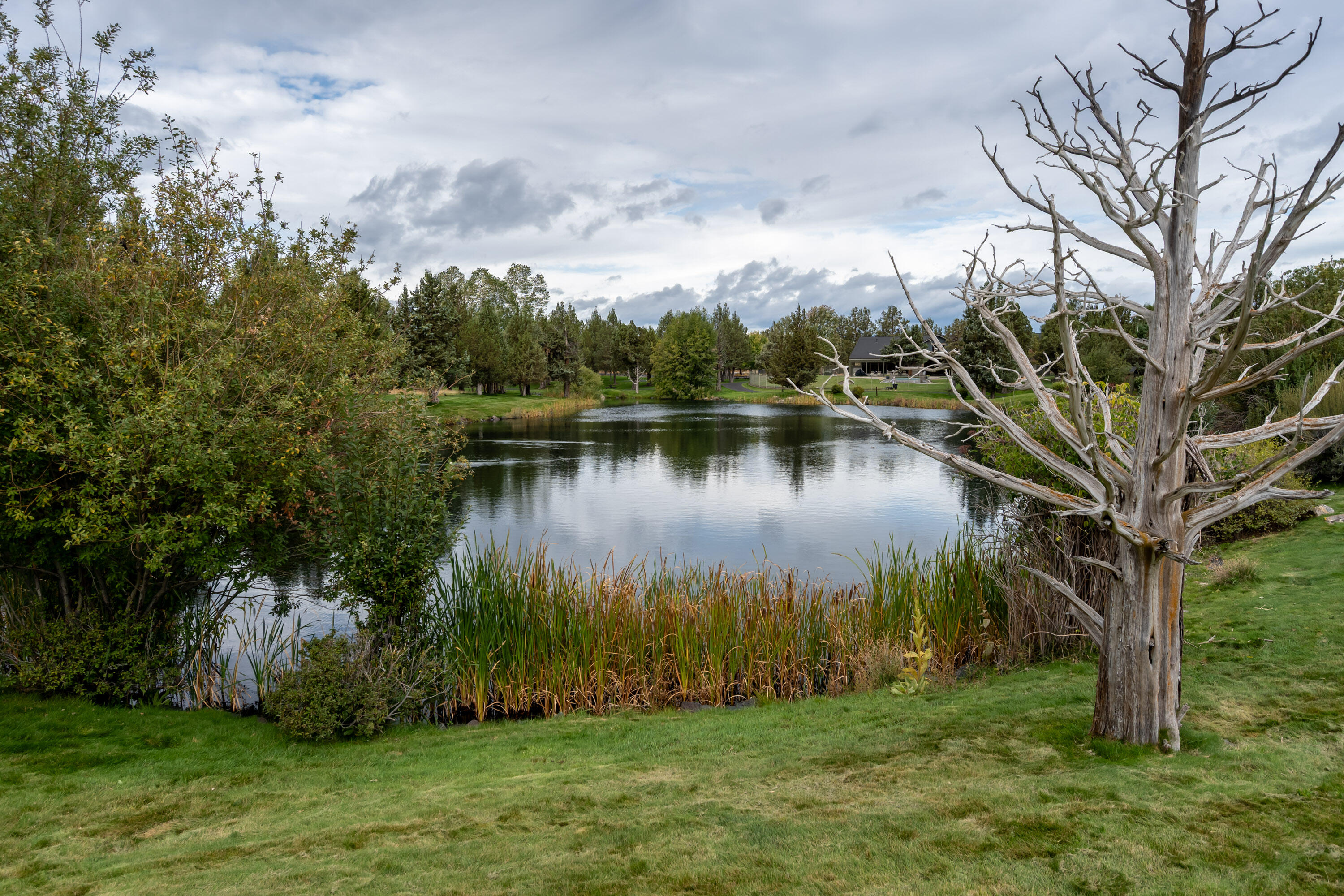 Ridge At Eagle Crest - Residential