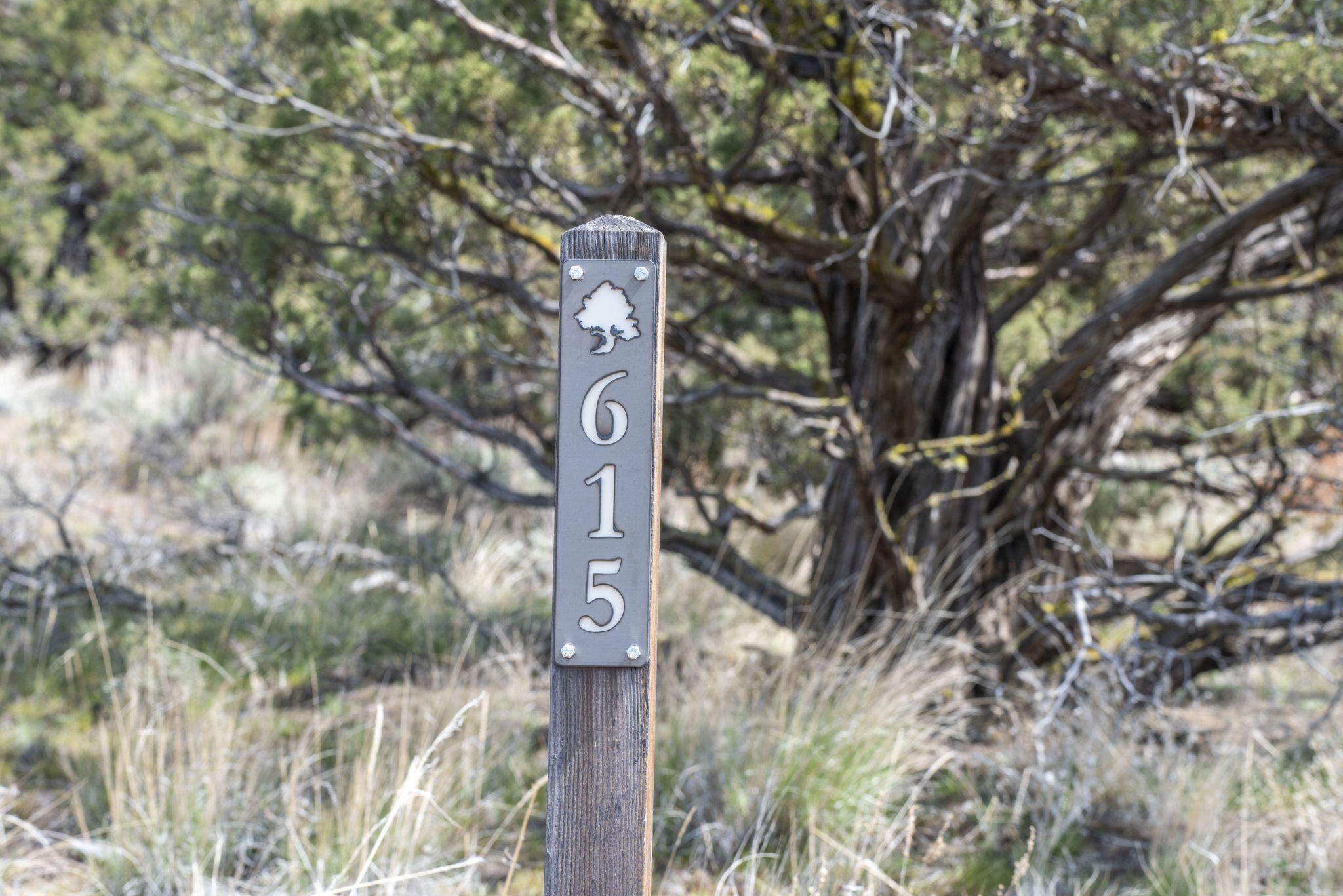 Brasada Ranch - Land