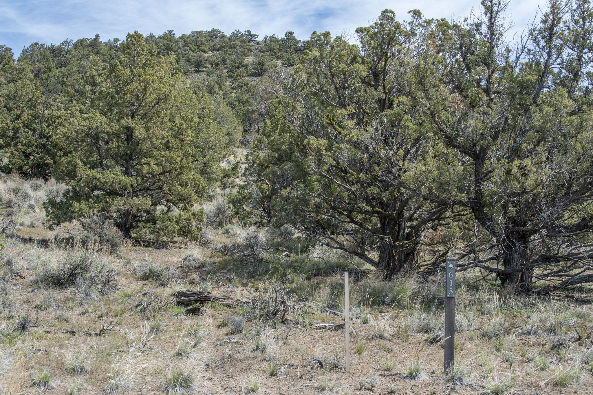 Brasada Ranch - Land