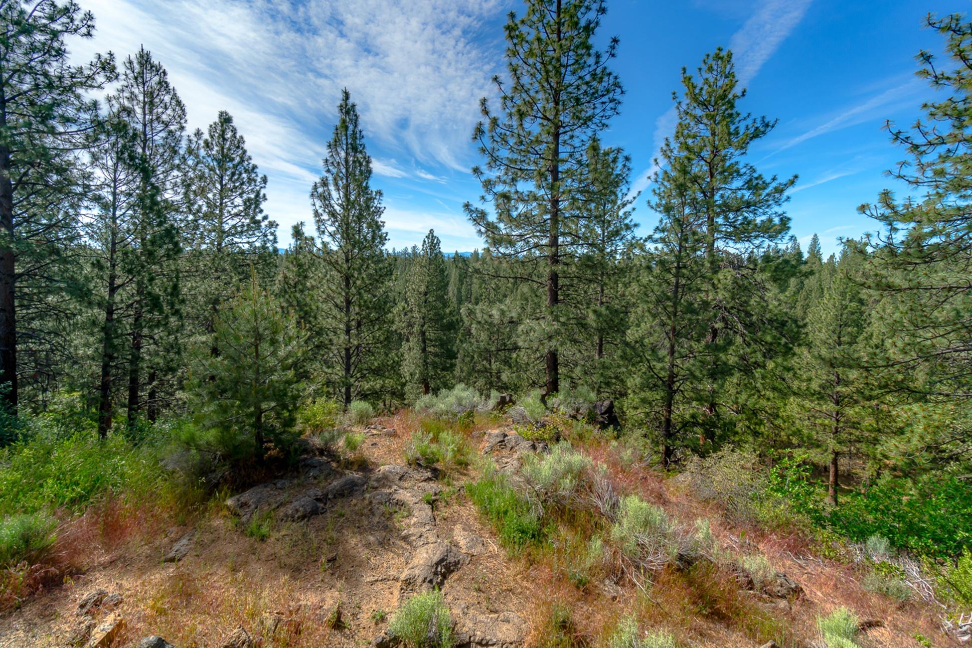 Inn Of The 7th - Residential