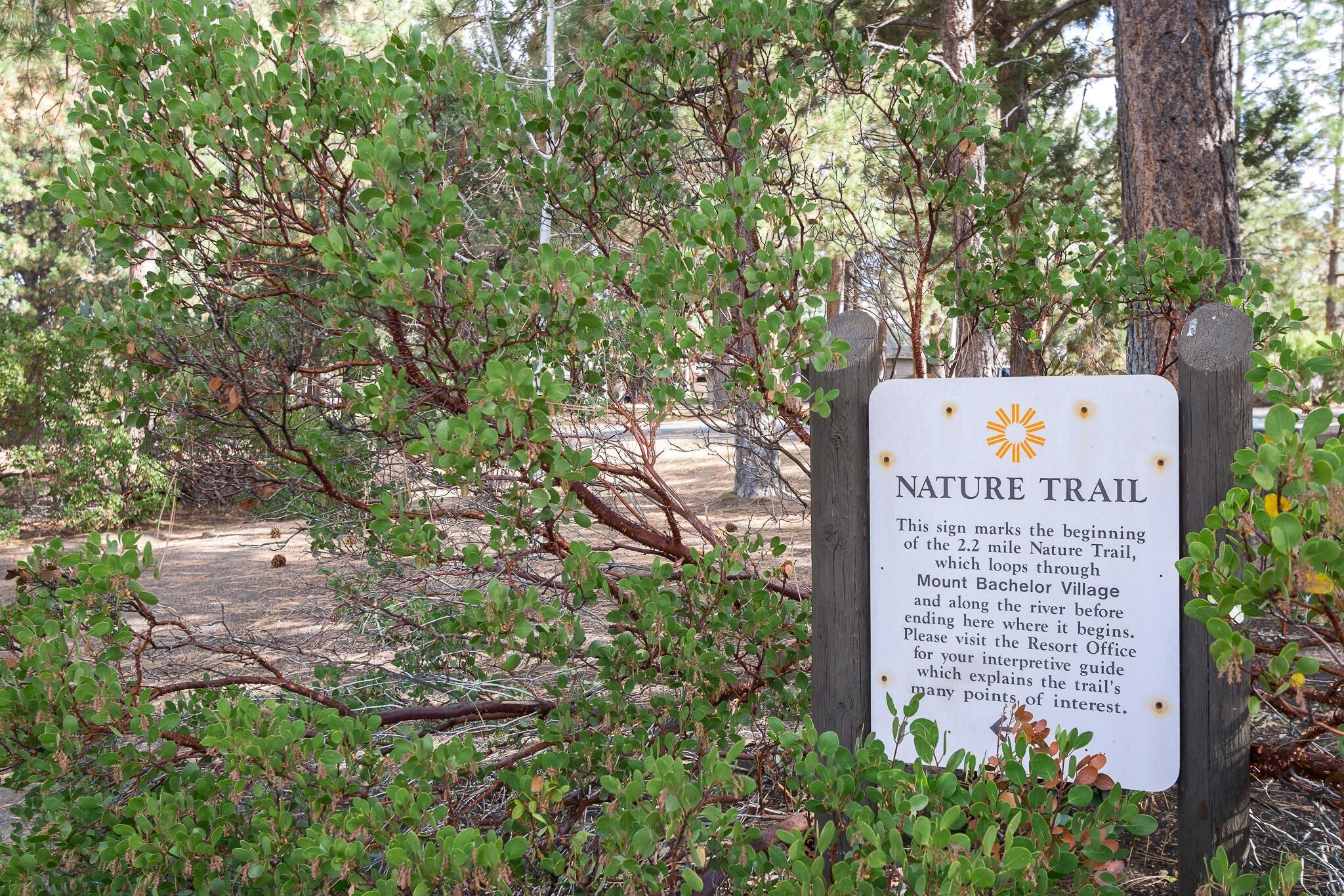 Mt Bachelor Village - Residential