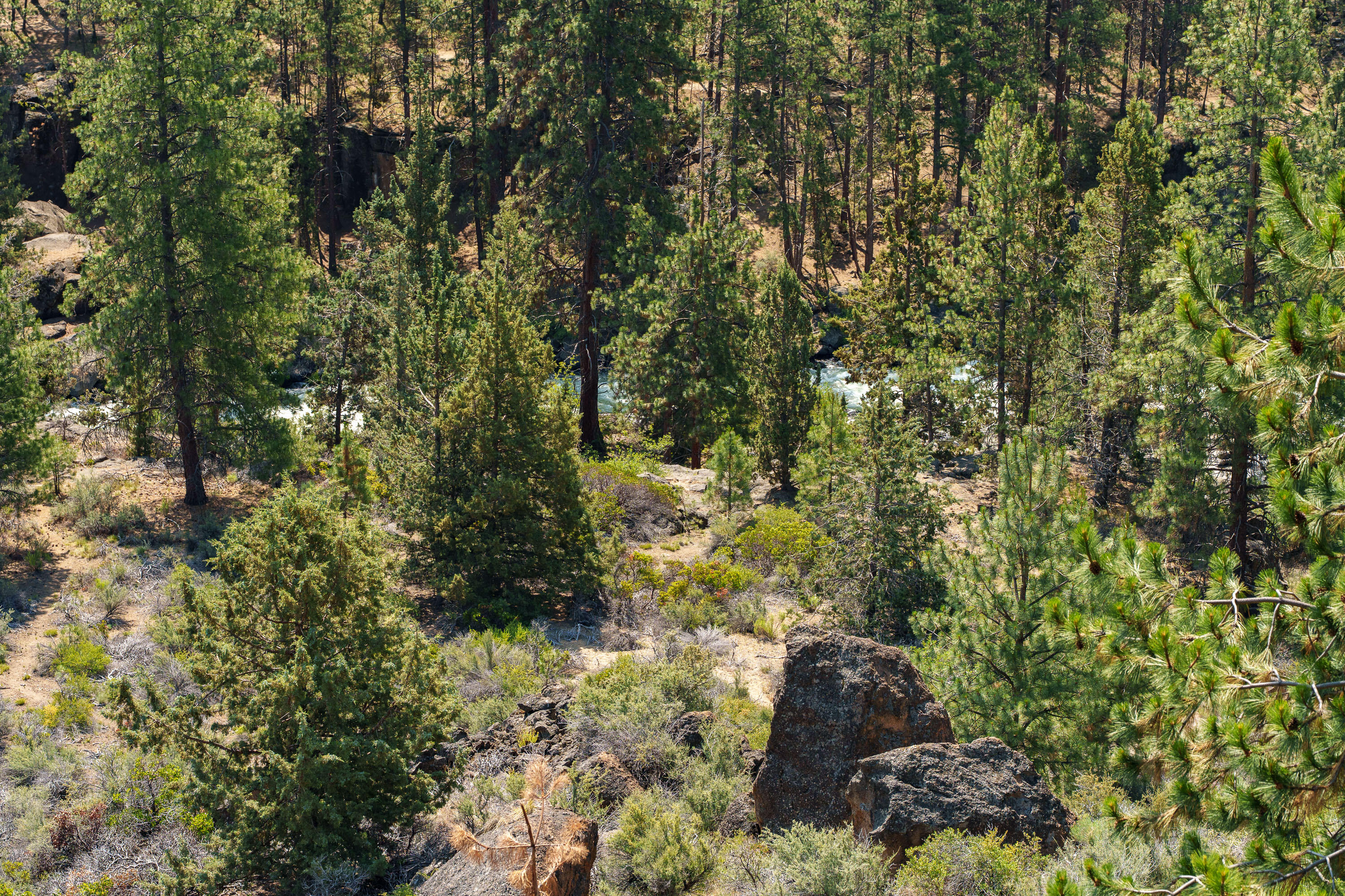 19717 SW Mt Bachelor Drive 420B
