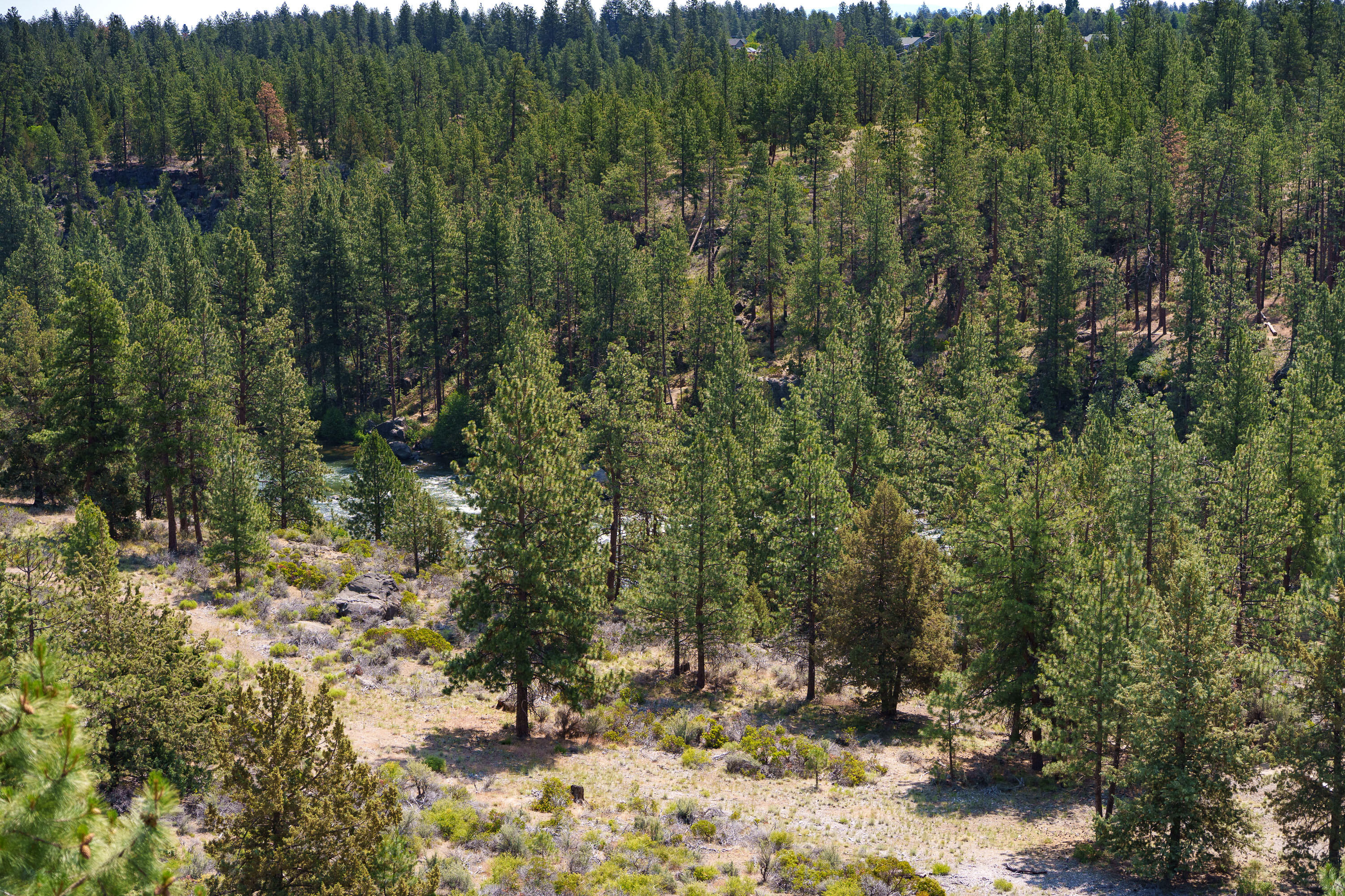 Mt Bachelor Village - Residential