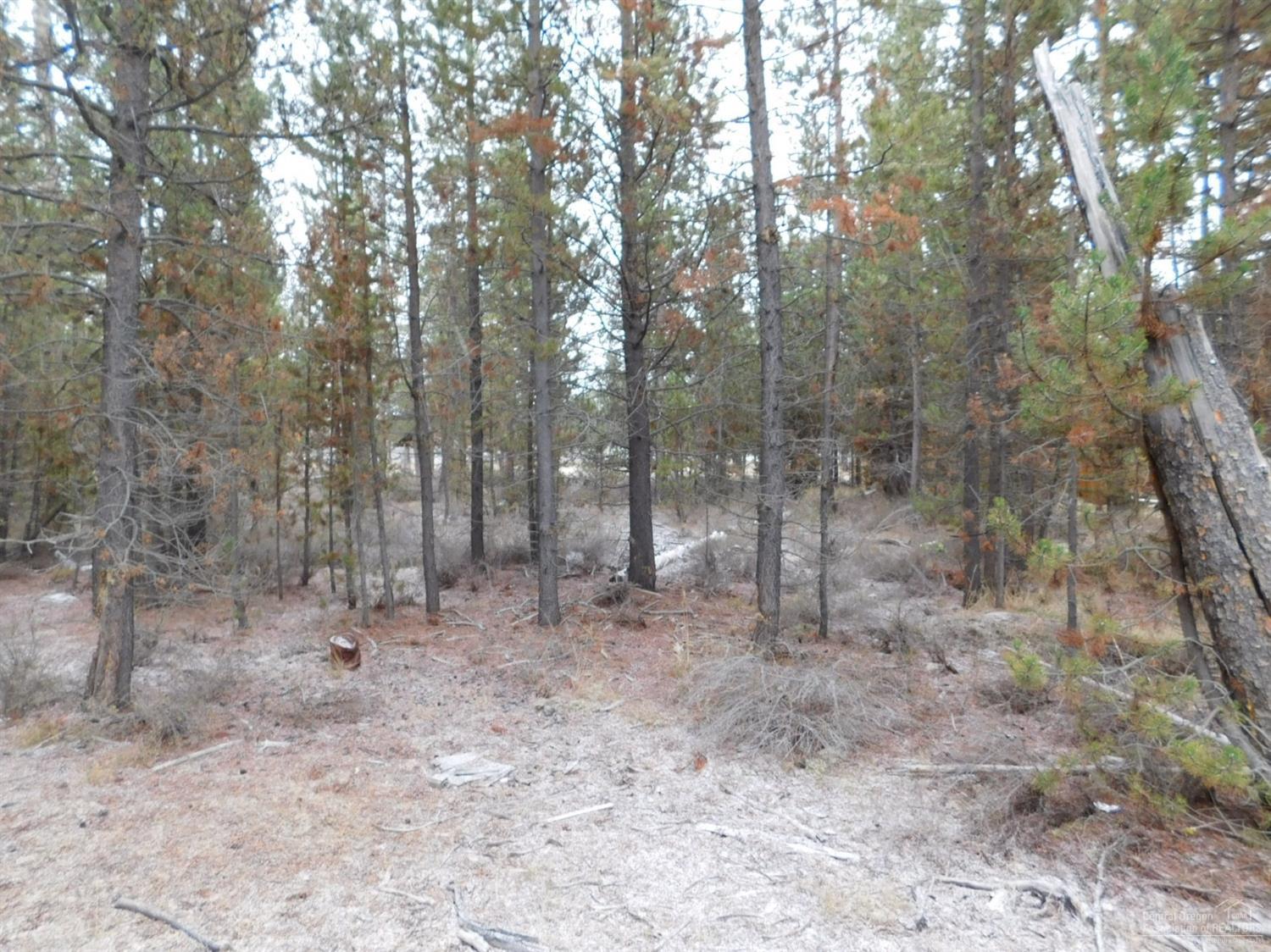 Peaceful Pines - Land