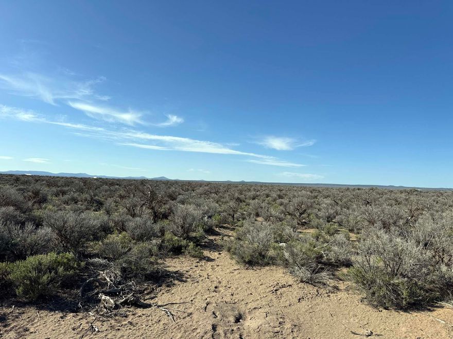 5 Acres, great location with power close by. Located just off Piglet Way. Area of homesteads and small farms. Great location to build a homesite, cabin or live on or off-grid. Light brush cover and this parcel has a few ways to access the land. Located about 15 minutes from Christmas Valley via the Millican Road. Less than 10 minutes to public forest lands. Area of good perc tests and good wells.
No owner carry.