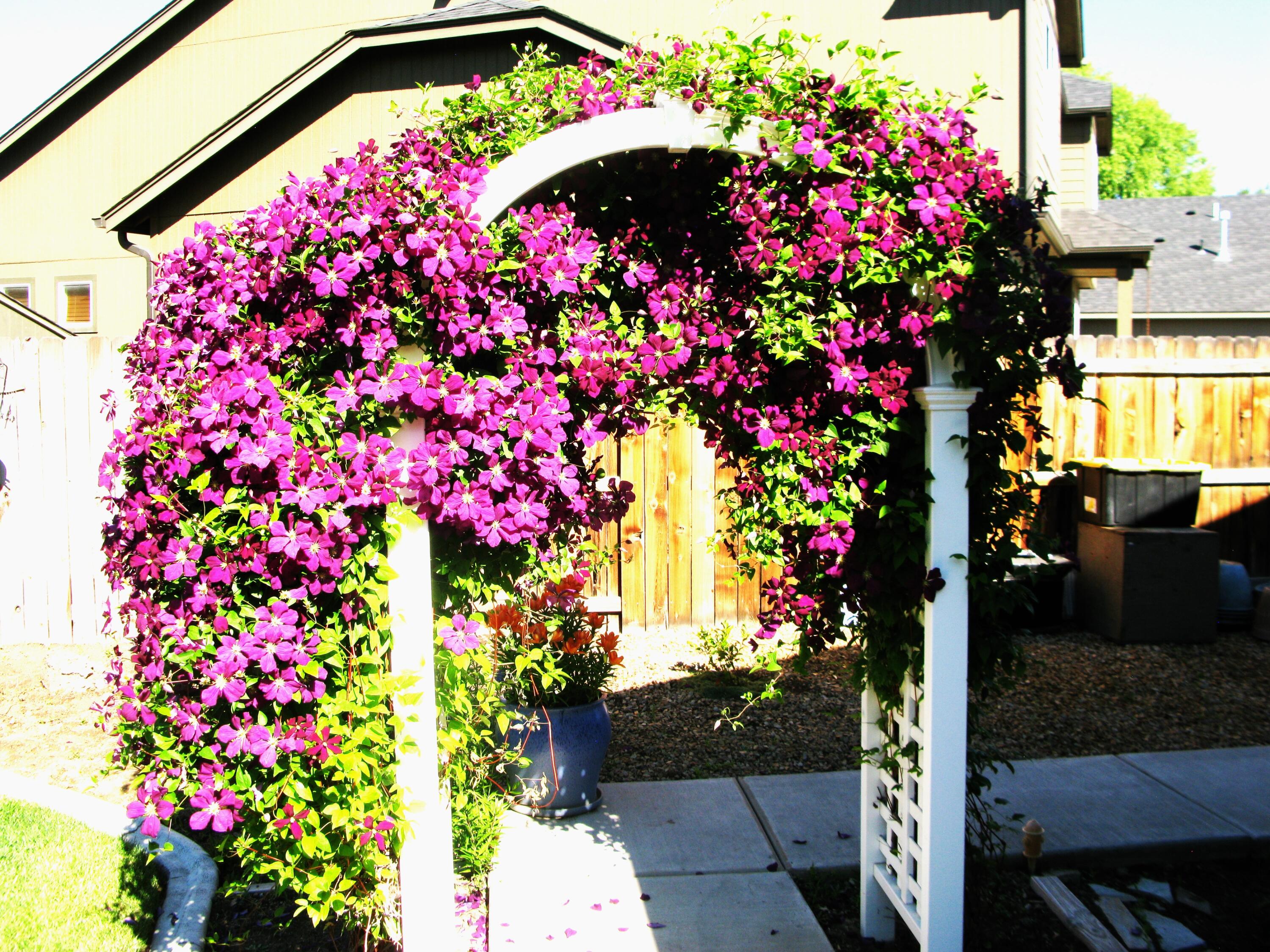 McKenzie Rim Estates - Residential