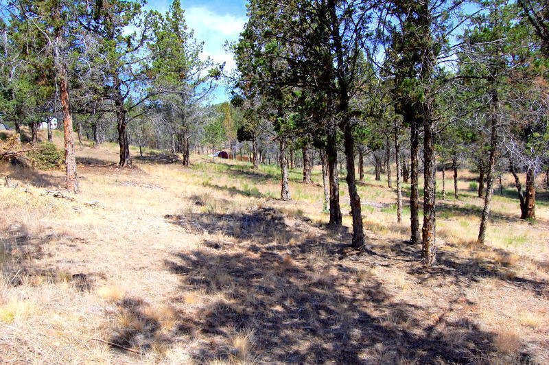 Golden Horseshoe - Land