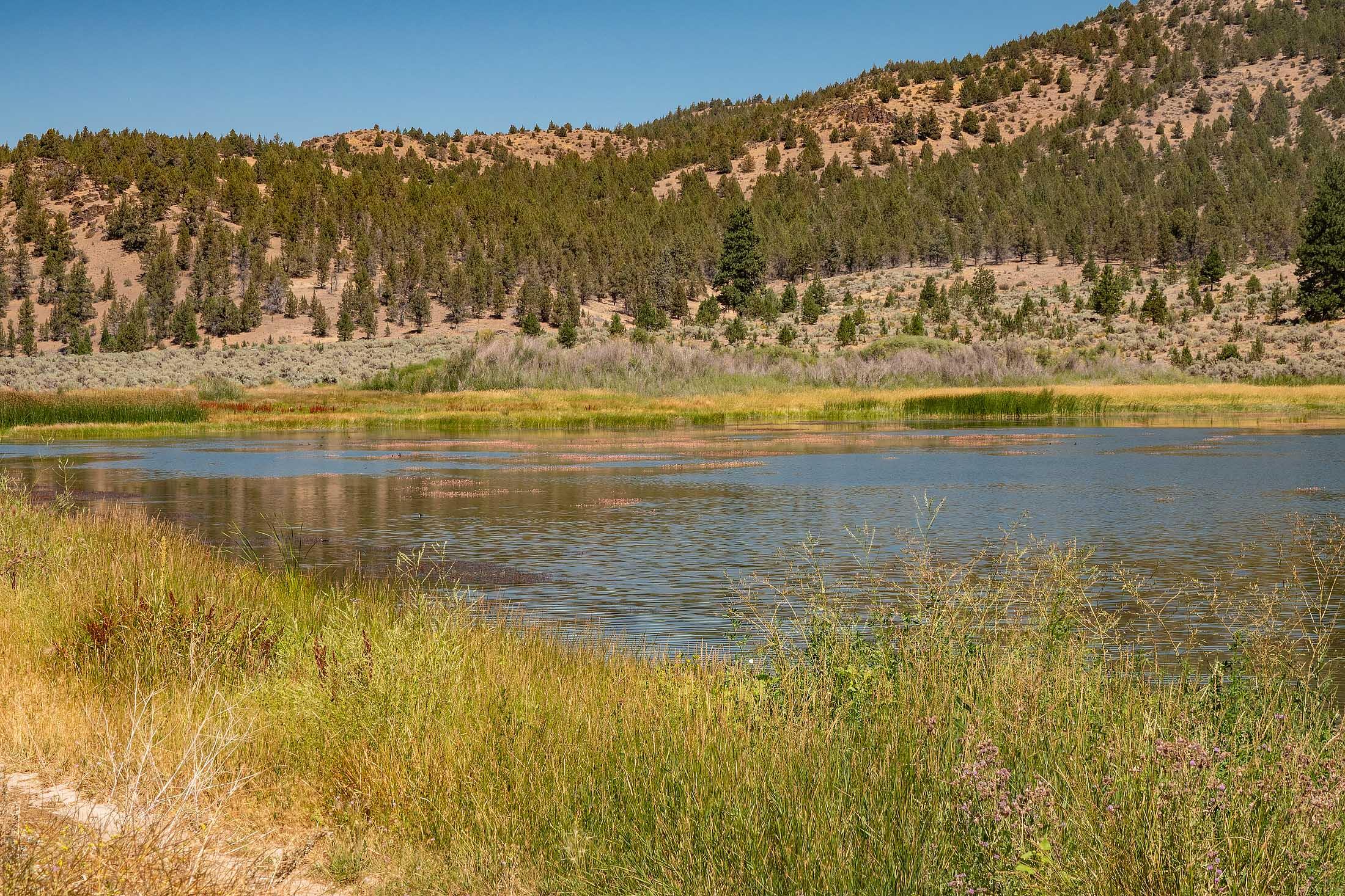 Golden Horseshoe - Land