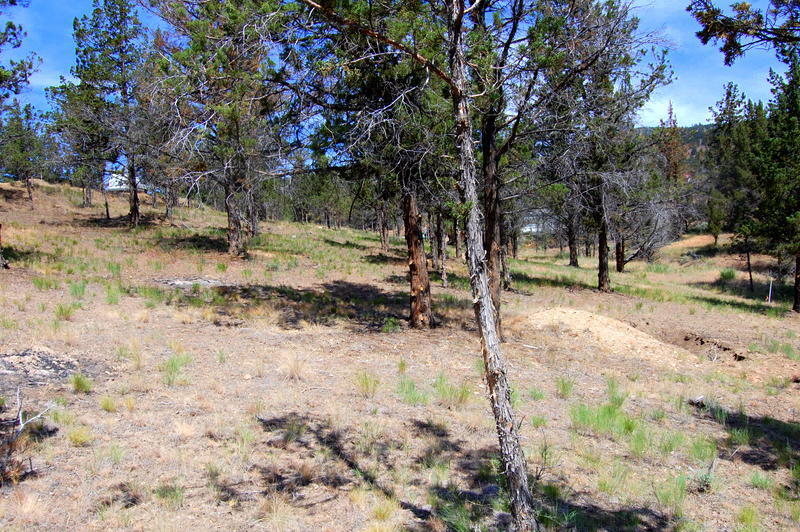 Golden Horseshoe - Land